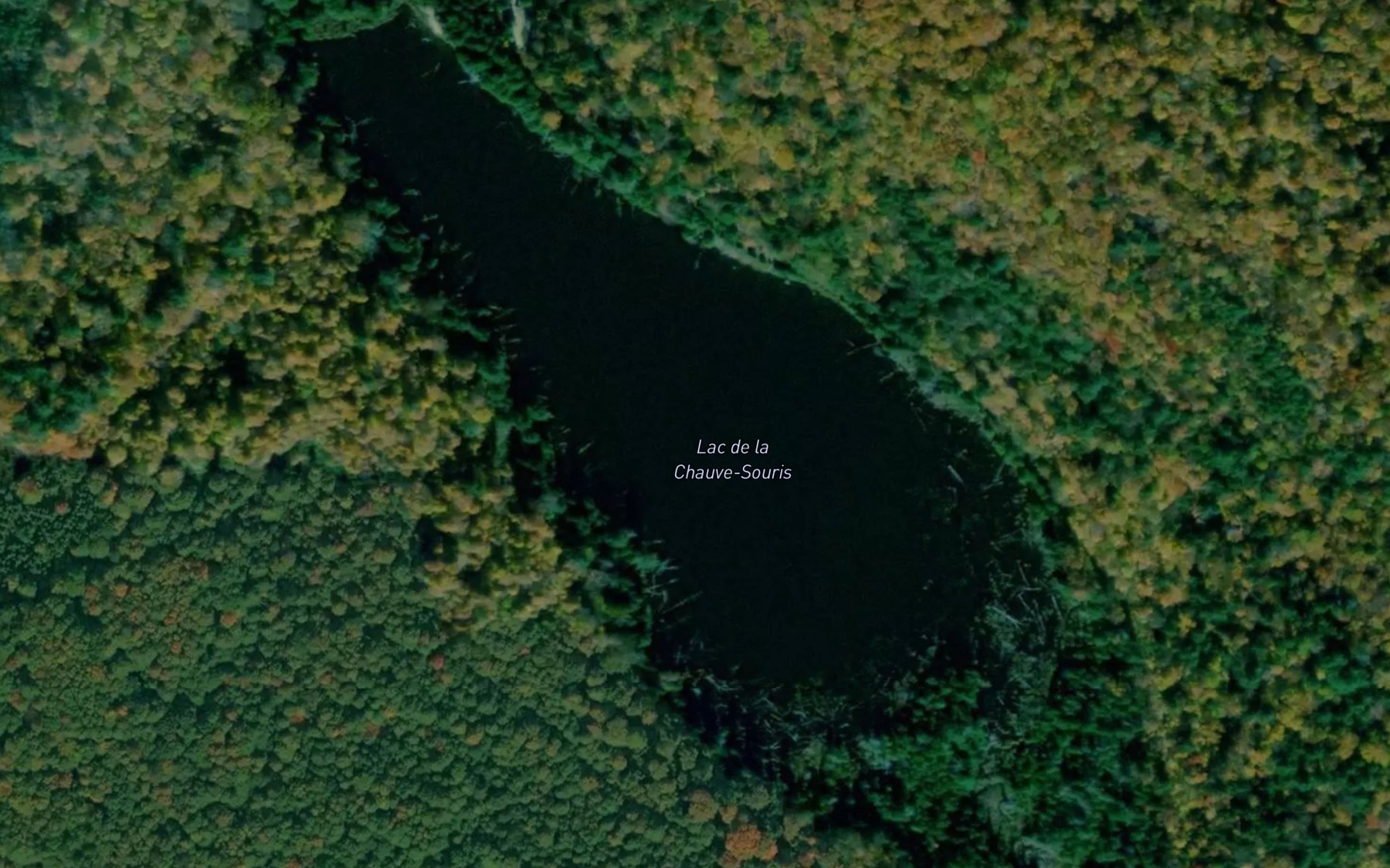 Satellite map of the Lac de la Chauve-Souris