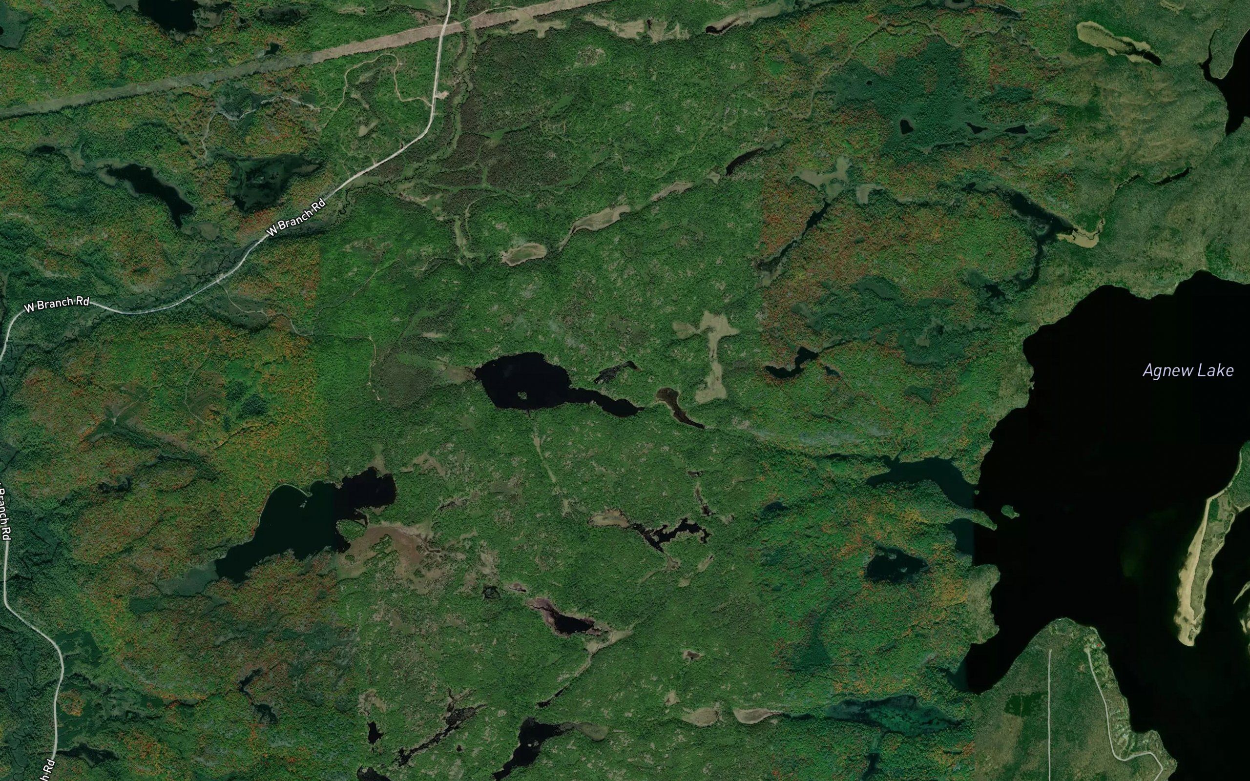 Camp Eleven Lake