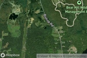 Bishop Pond