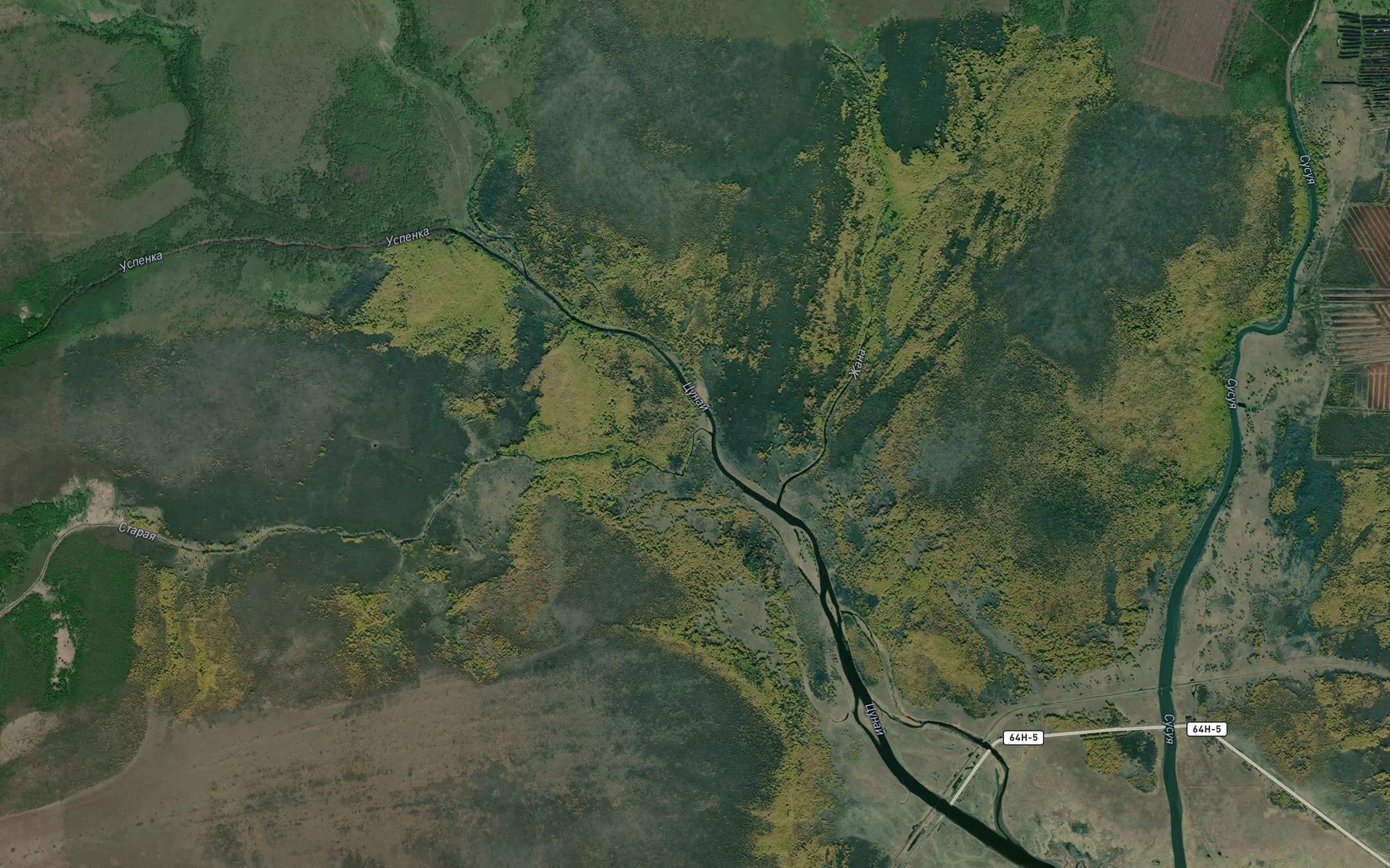 Satellite map of the Staraya