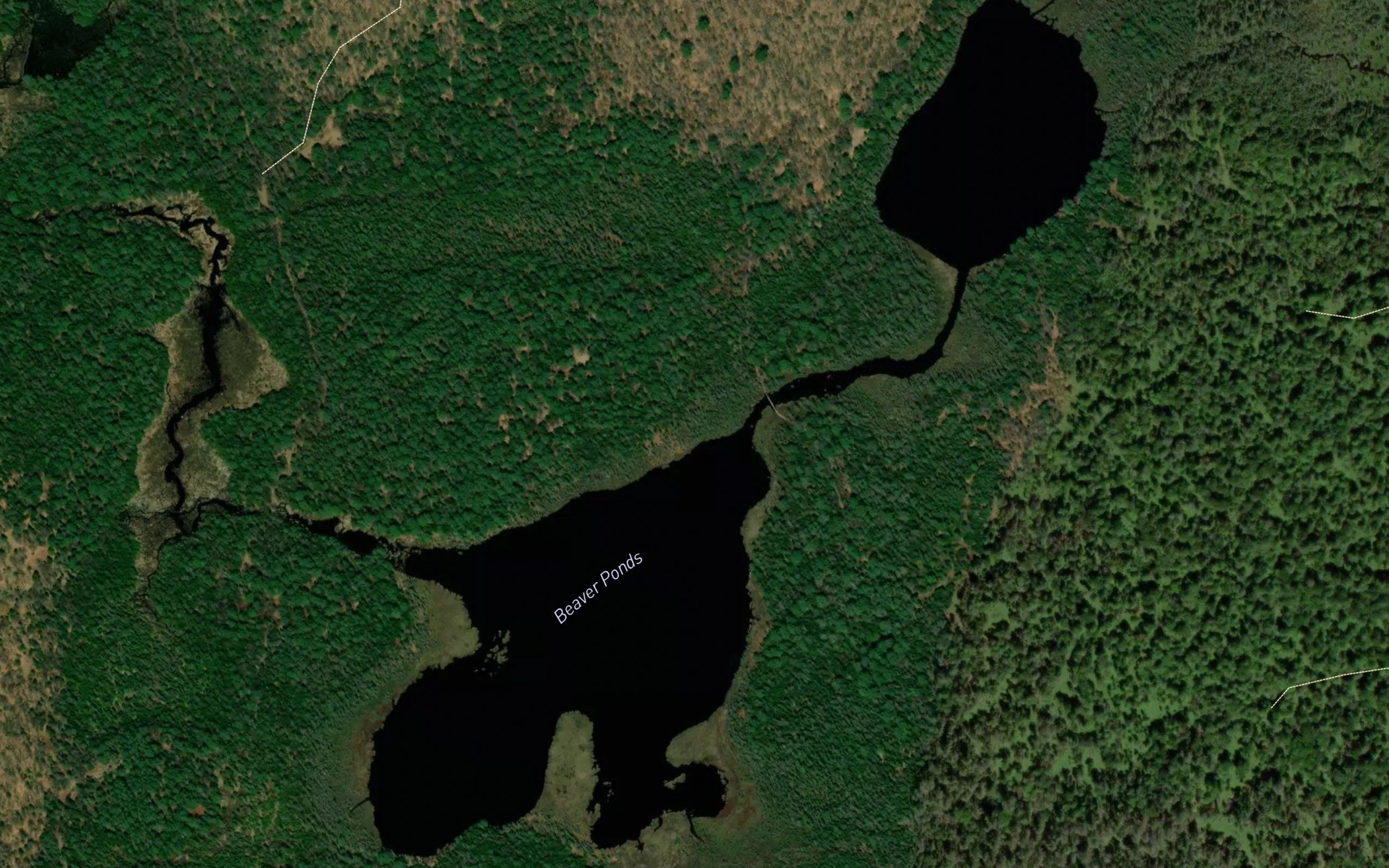 Beaver Ponds