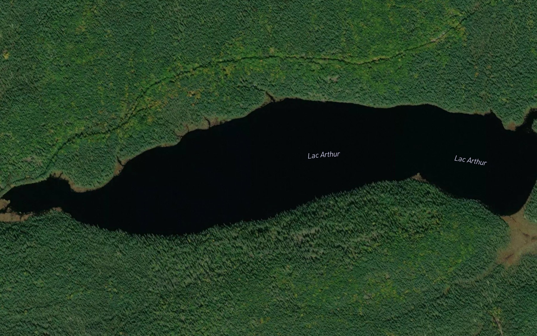 Satellite map of the Lac Arthur