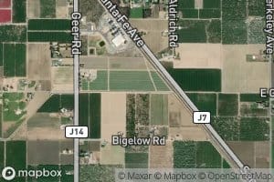 Upper Lateral Number Two and One Half