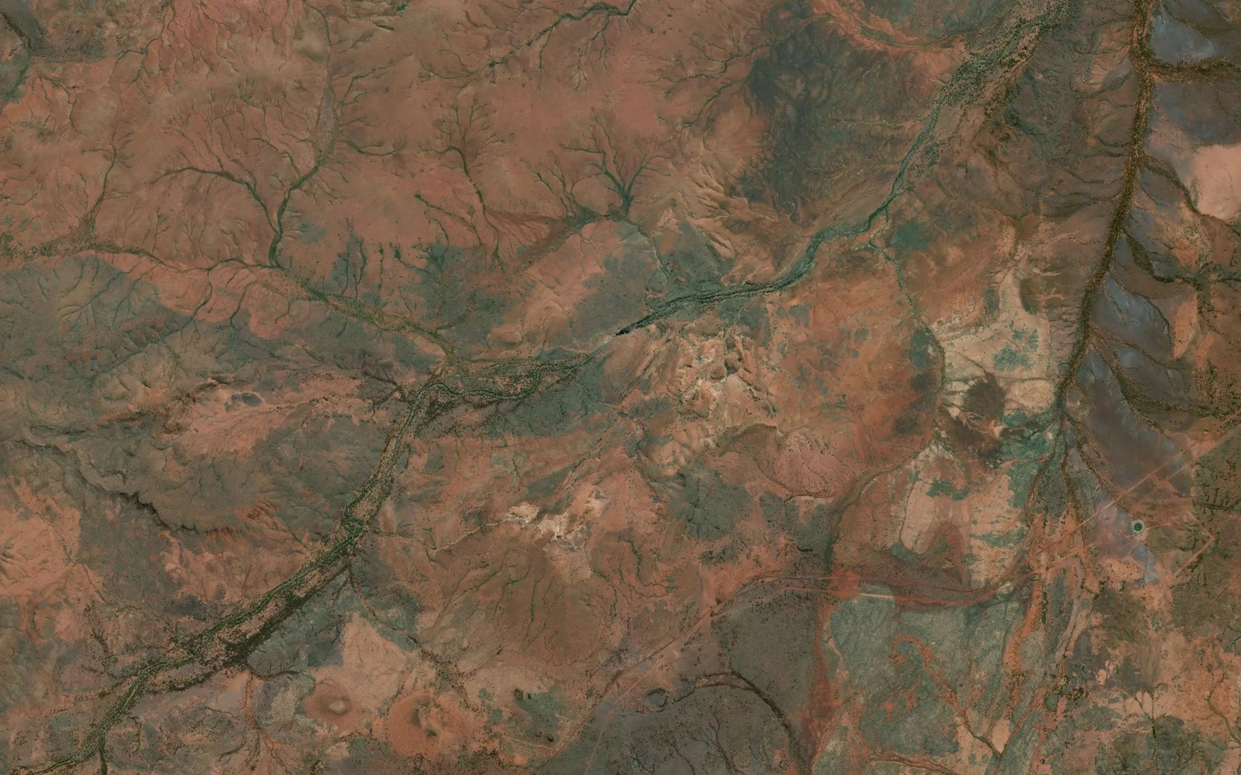 Satellite map of the Carrowina Pool