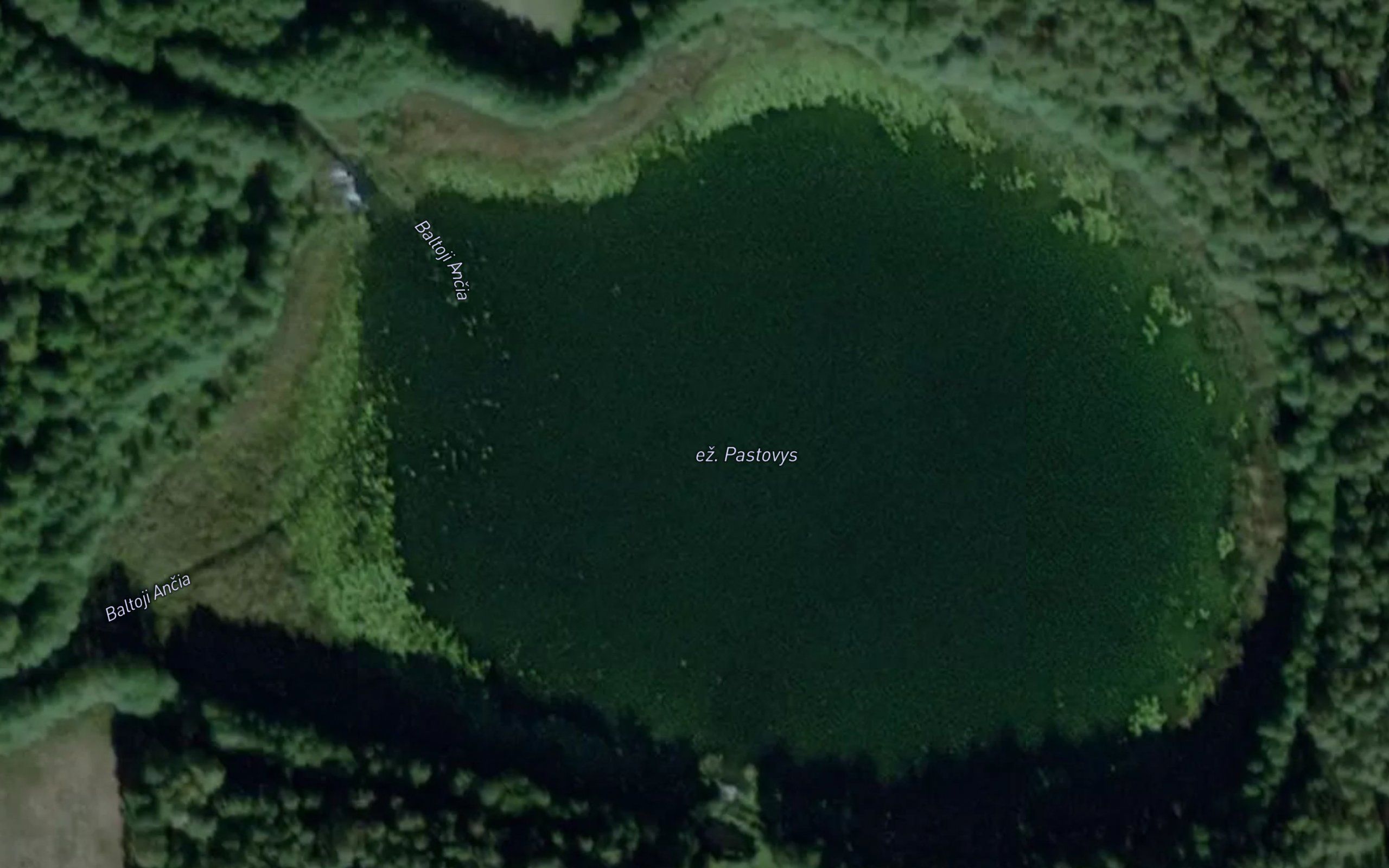 Ezeras Pastovys