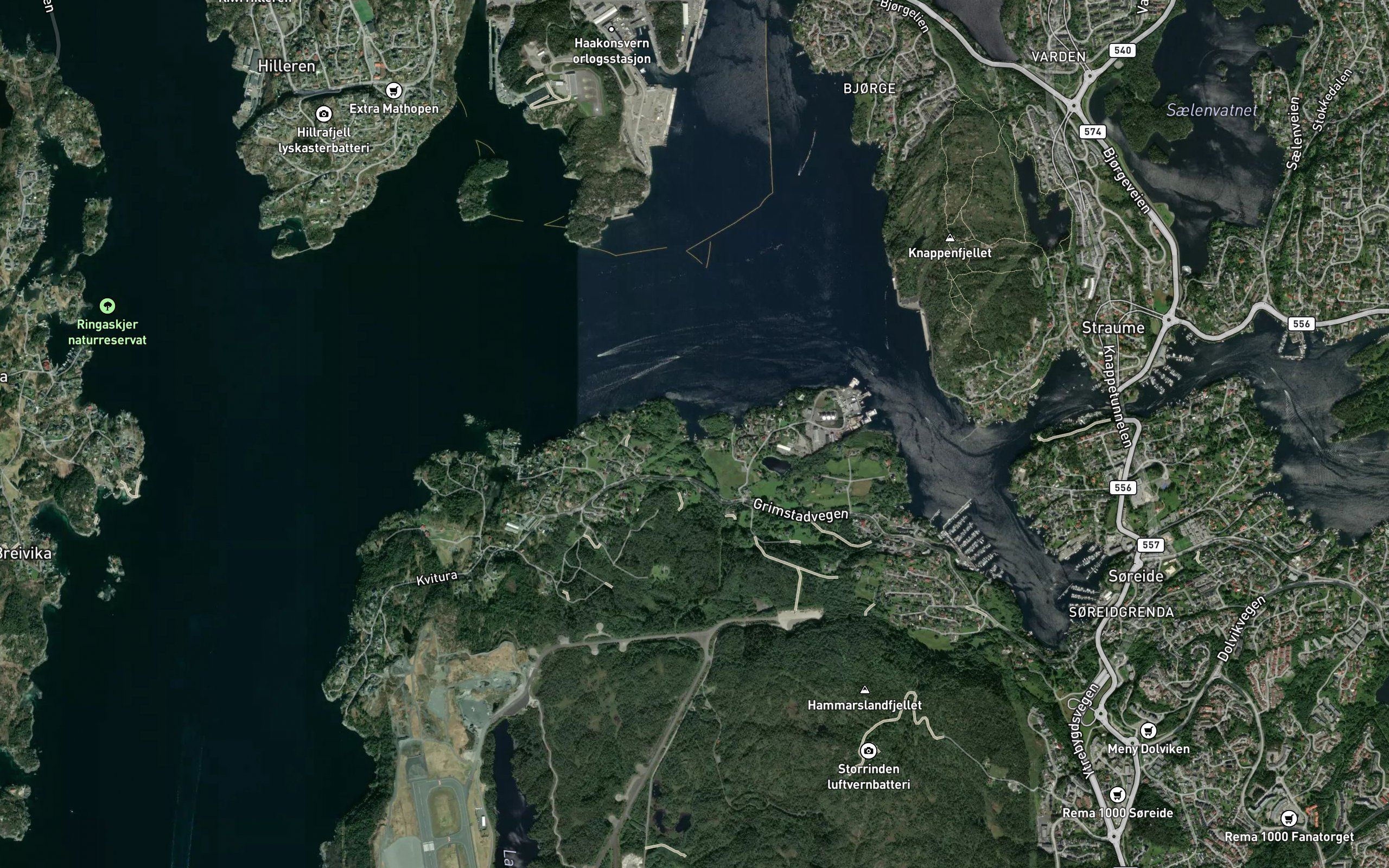 Hopsvika