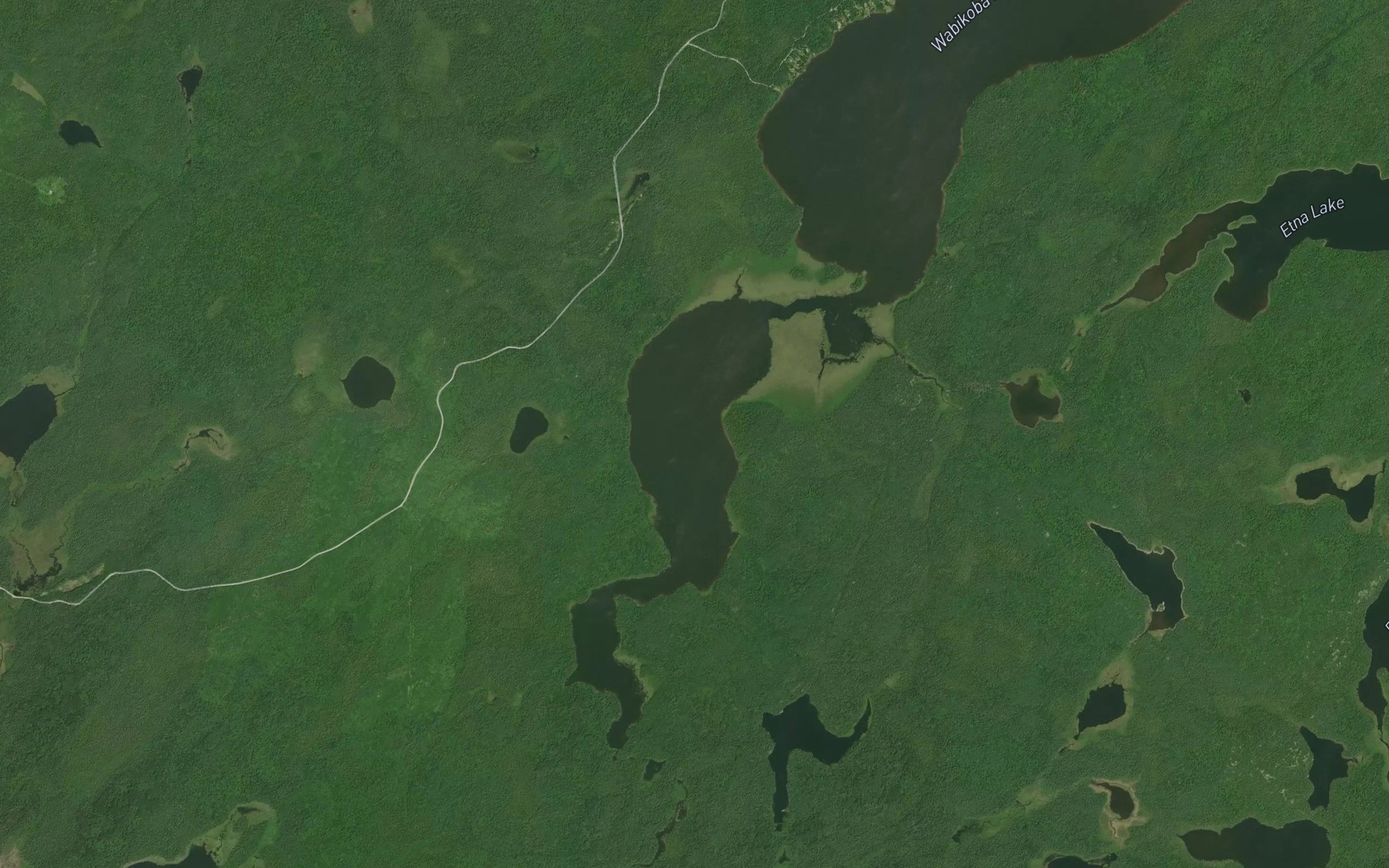 Satellite map of the Ellis Lake