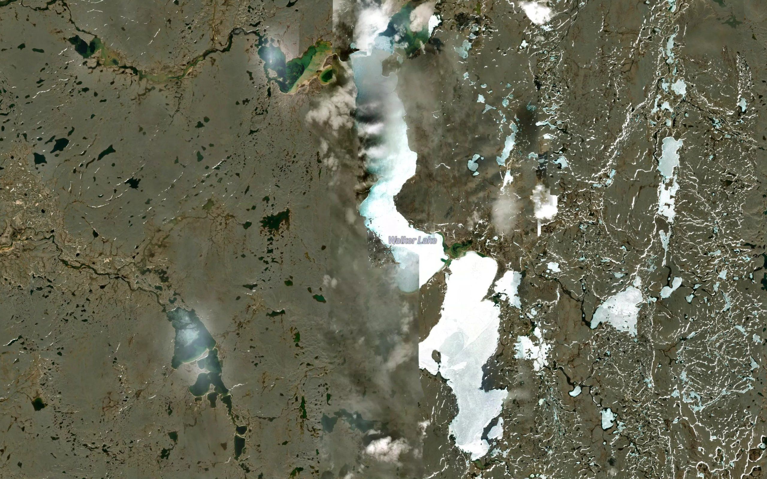 Walker Lake