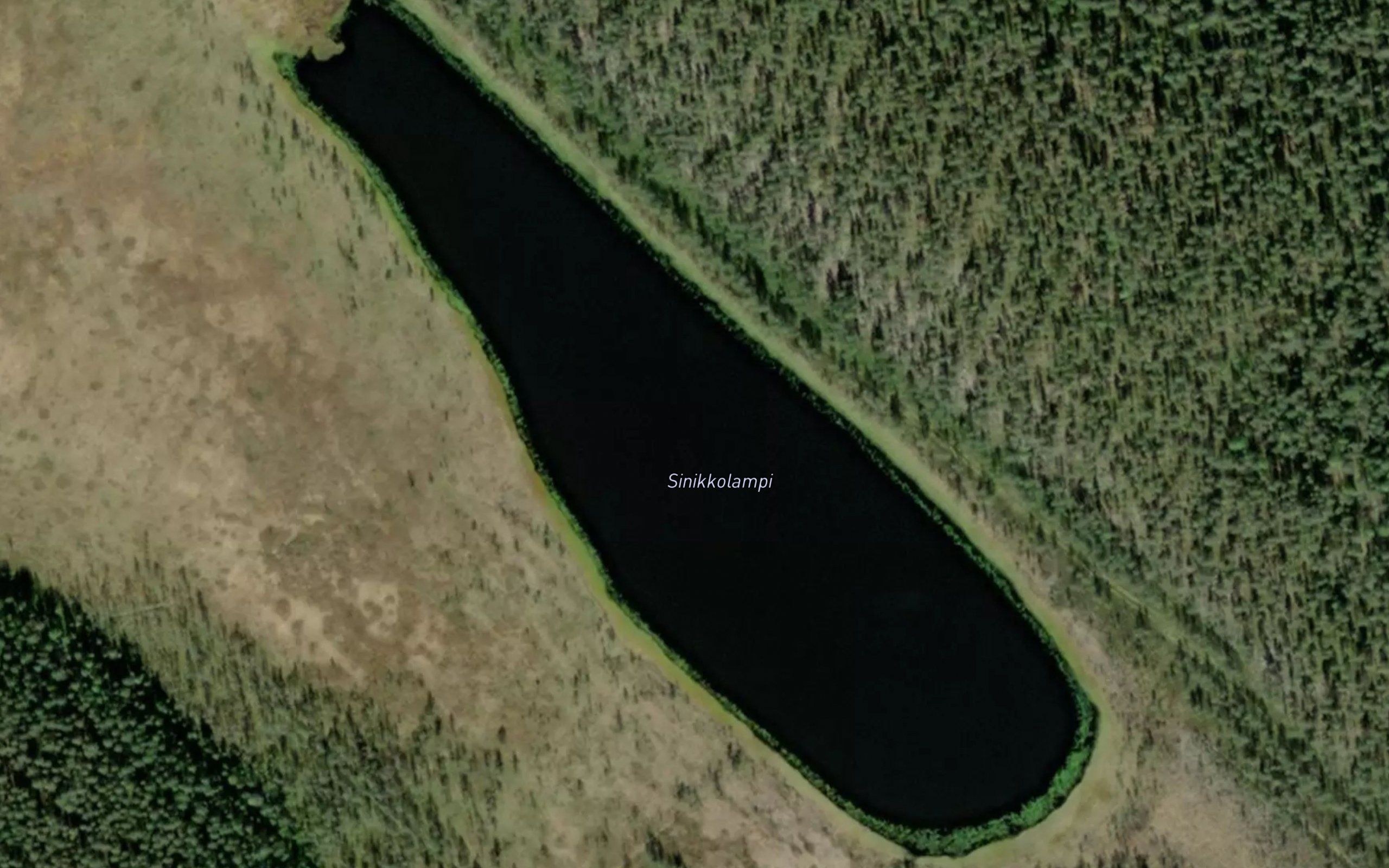 Sinikkolampi