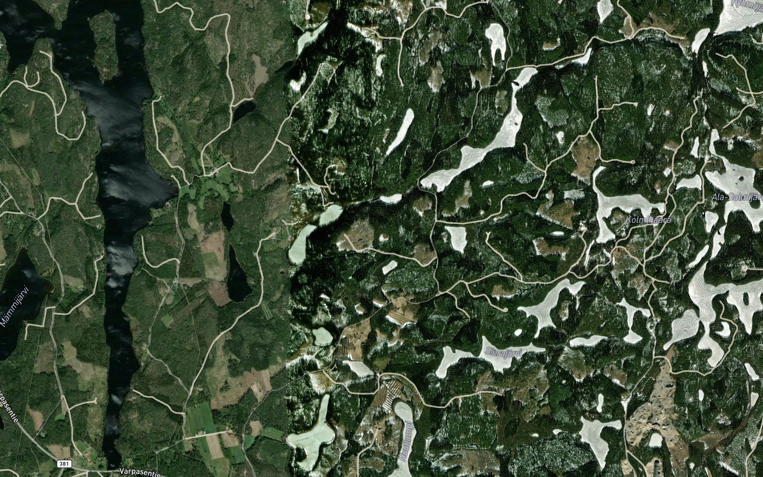 Susiviidanputikko