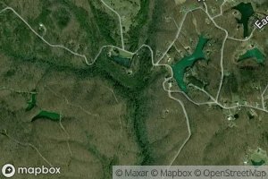 Satellite map of the Natural Bridge Branch