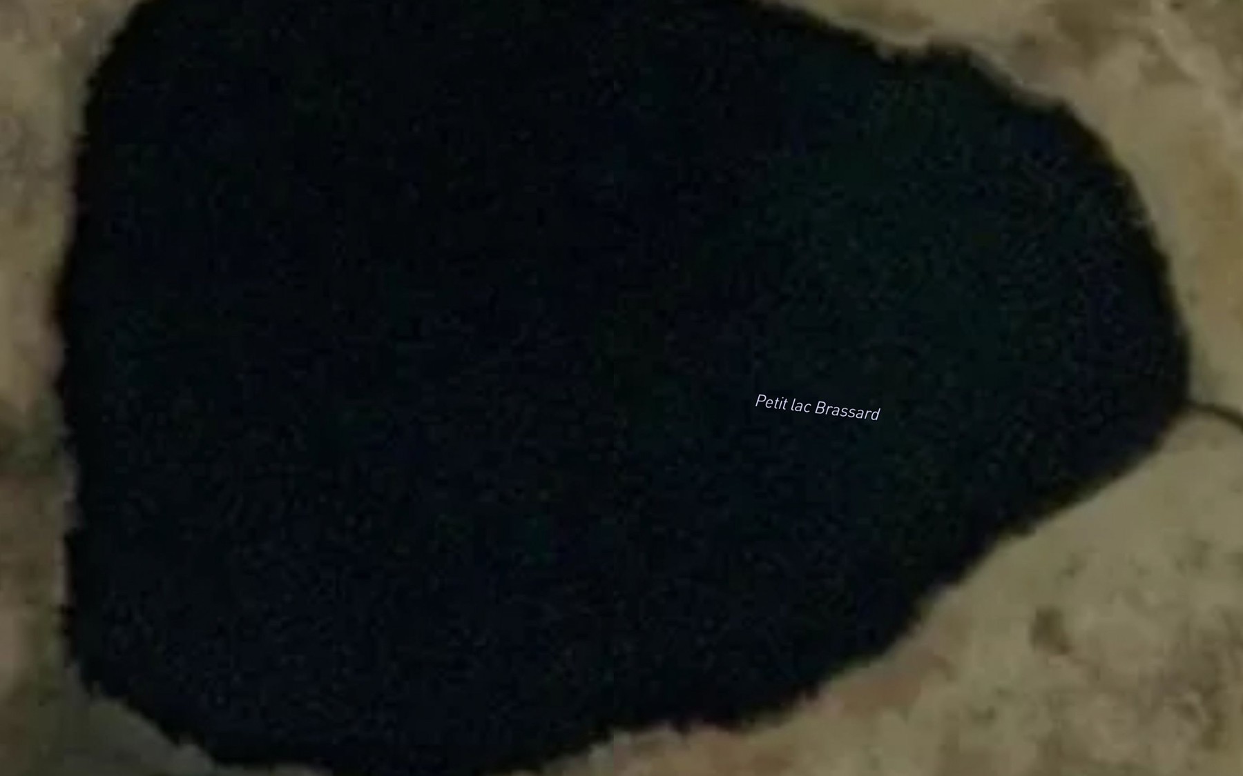 Satellite map of the Petit lac Brassard