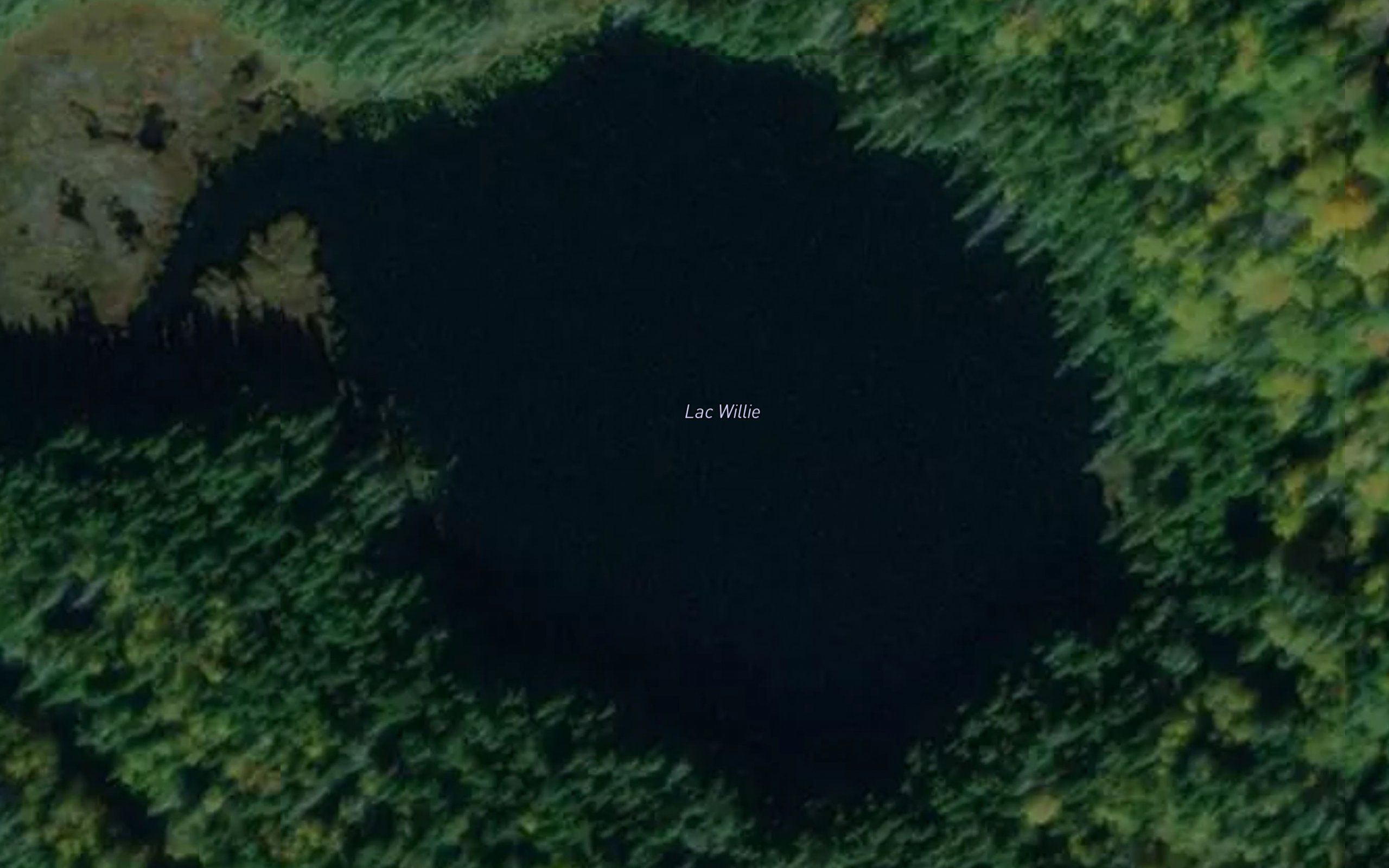 Lac Willie