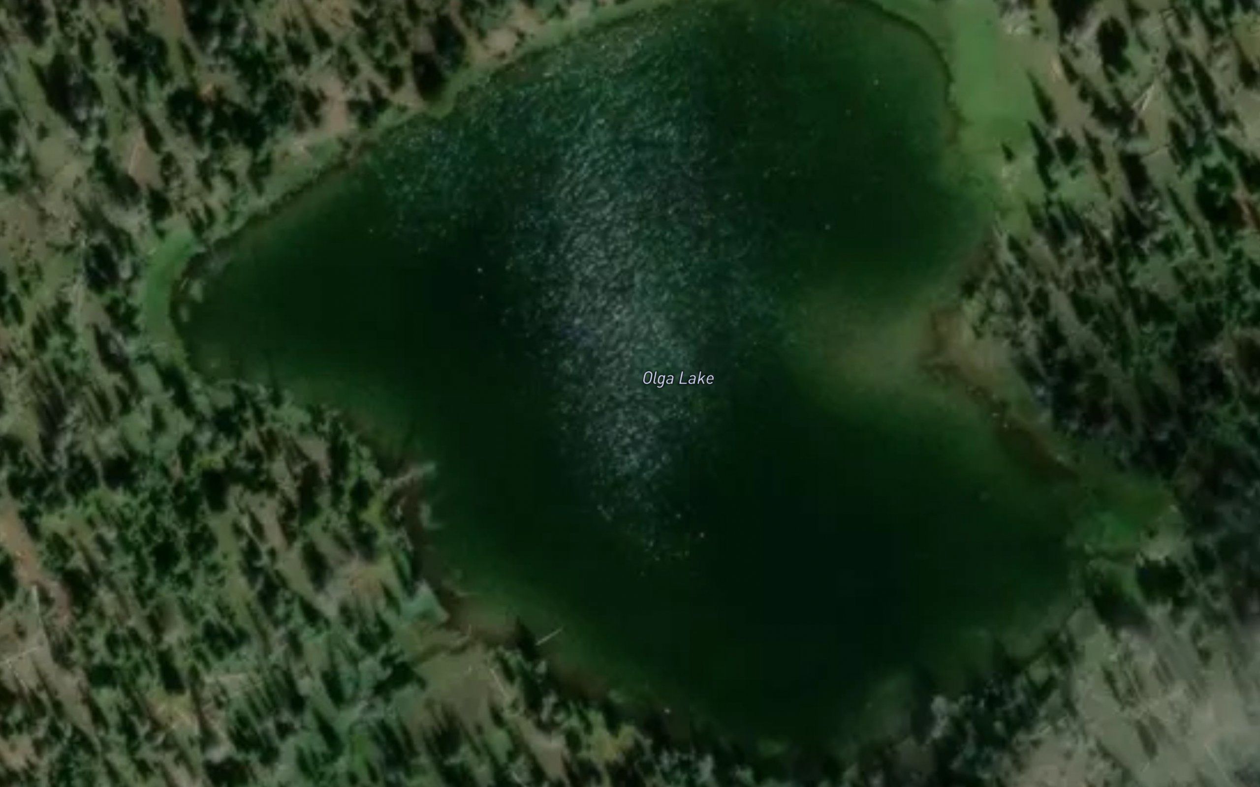 Olga Lake