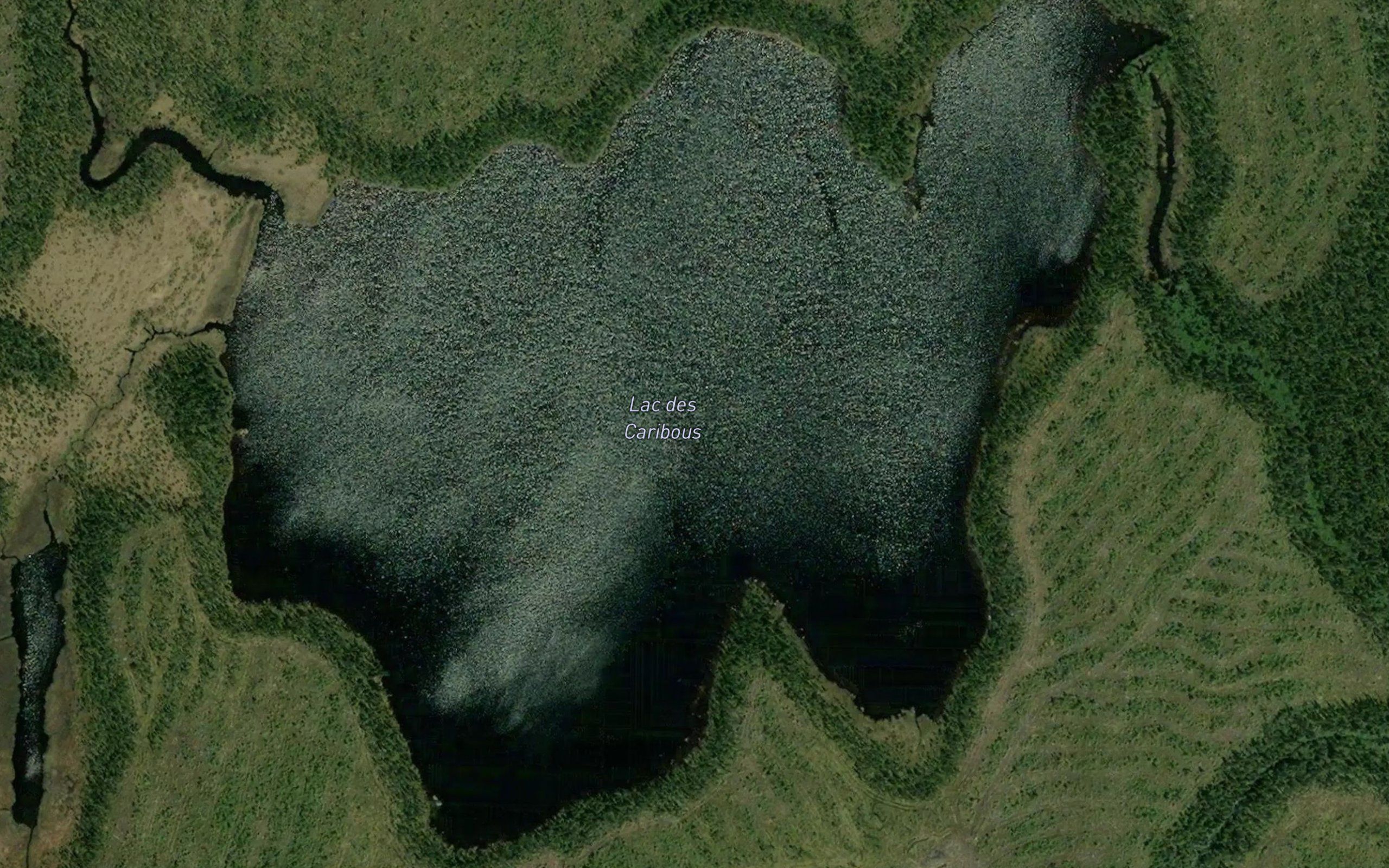 Lac des Caribous