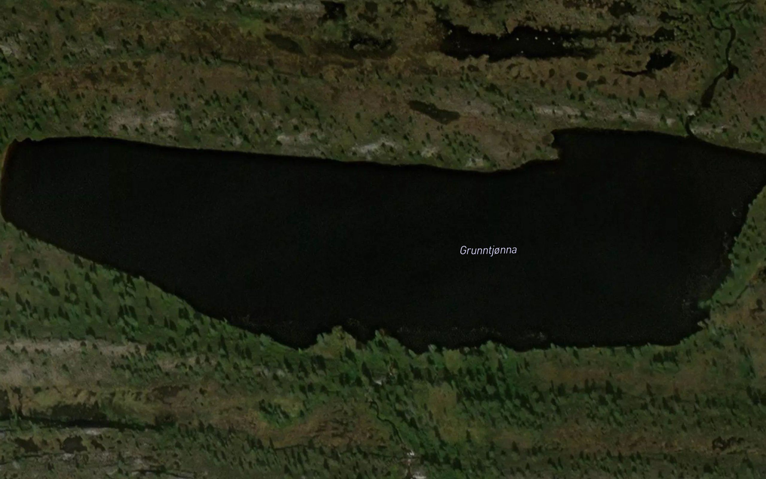 Grunntjorna