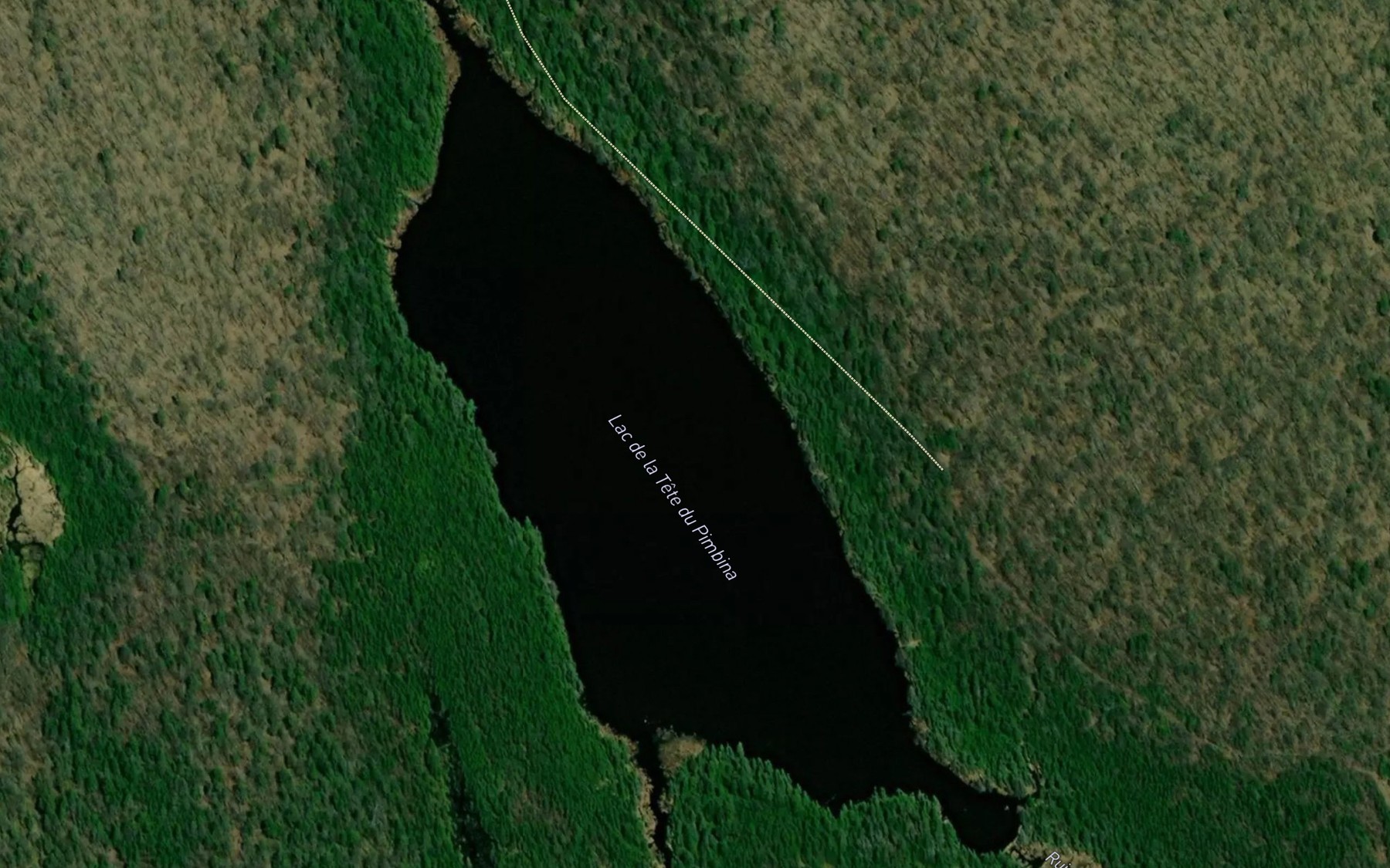 Satellite map of the Lac de la Tete du Pimbina