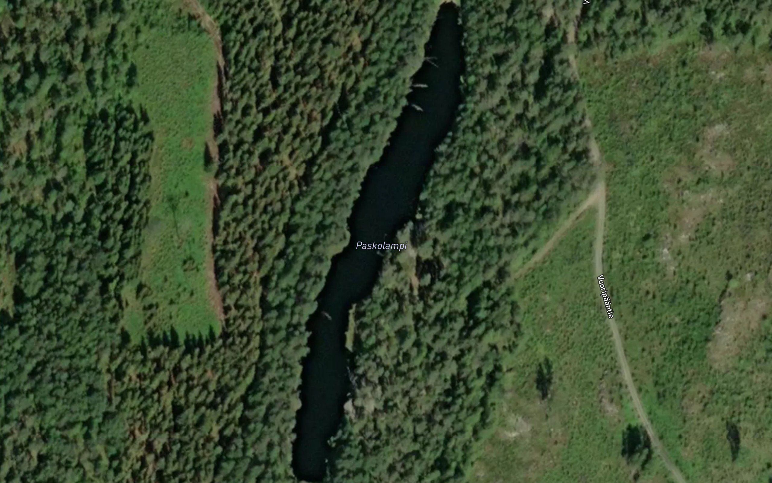 Paskolampi