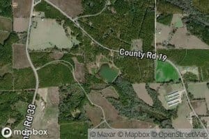 Tews Ponds