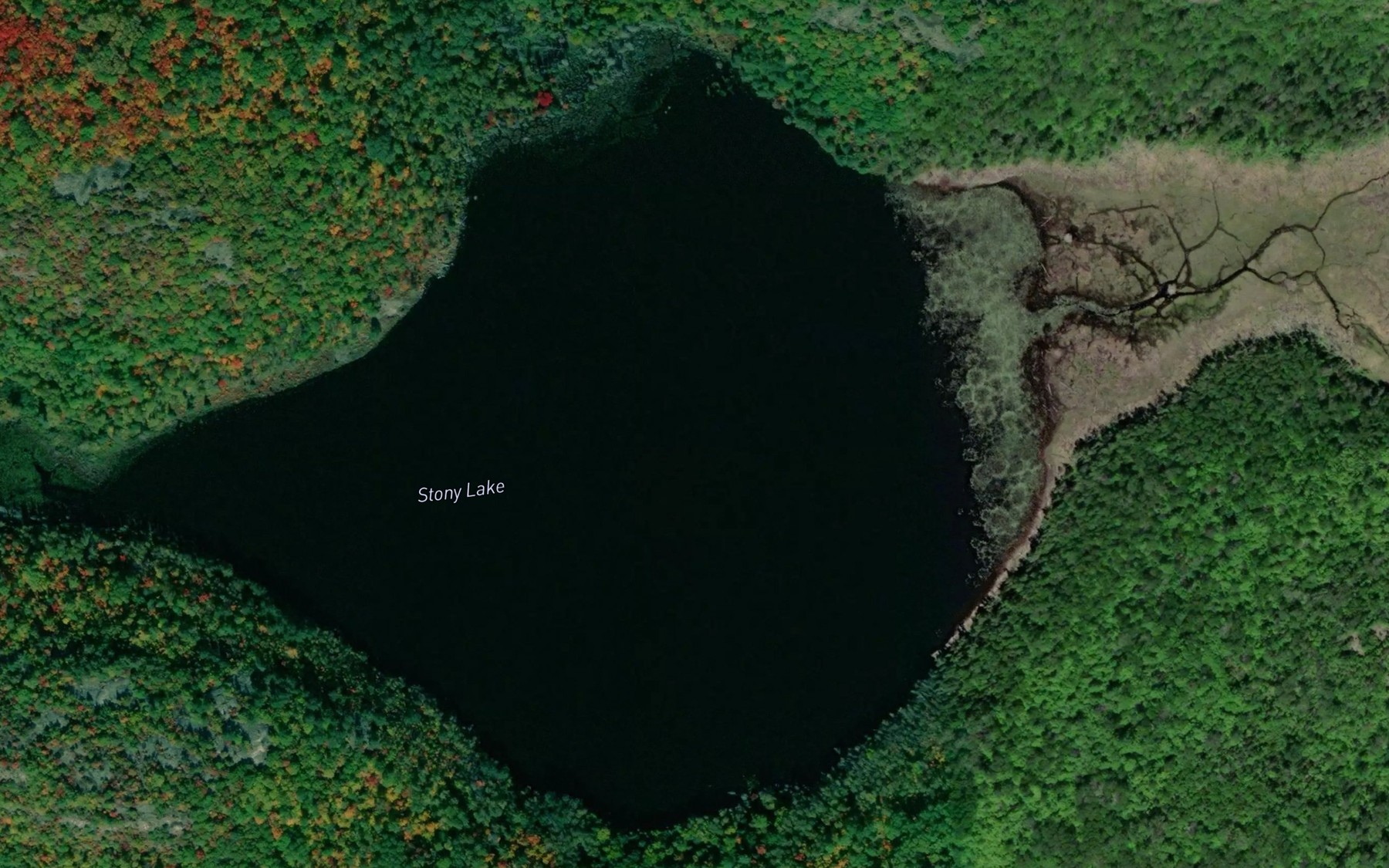 Satellite map of the Stony Lake