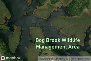 Bog Brook Flowage