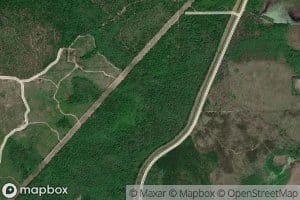 Indian Fork Branch