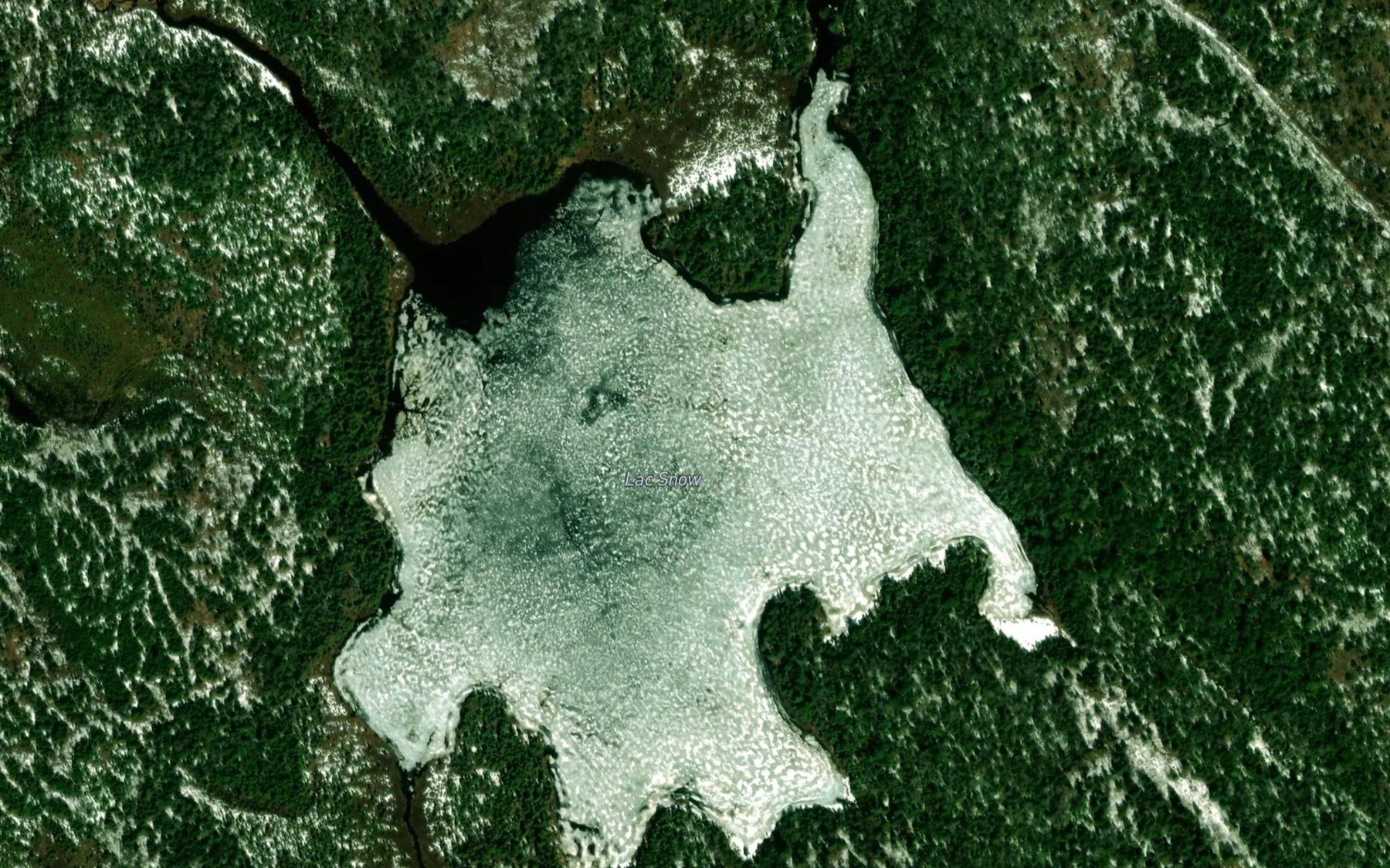 Satellite map of the Lac Snow