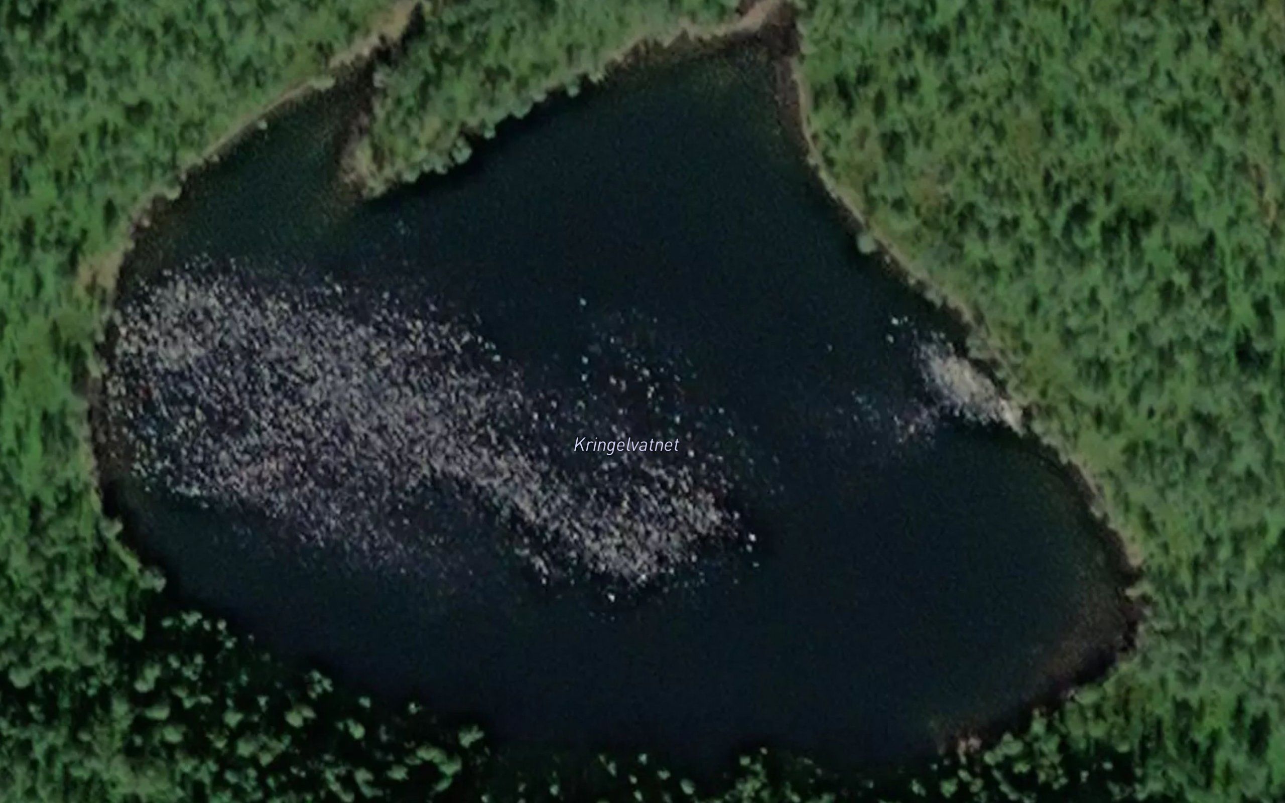 Kringelvatnet