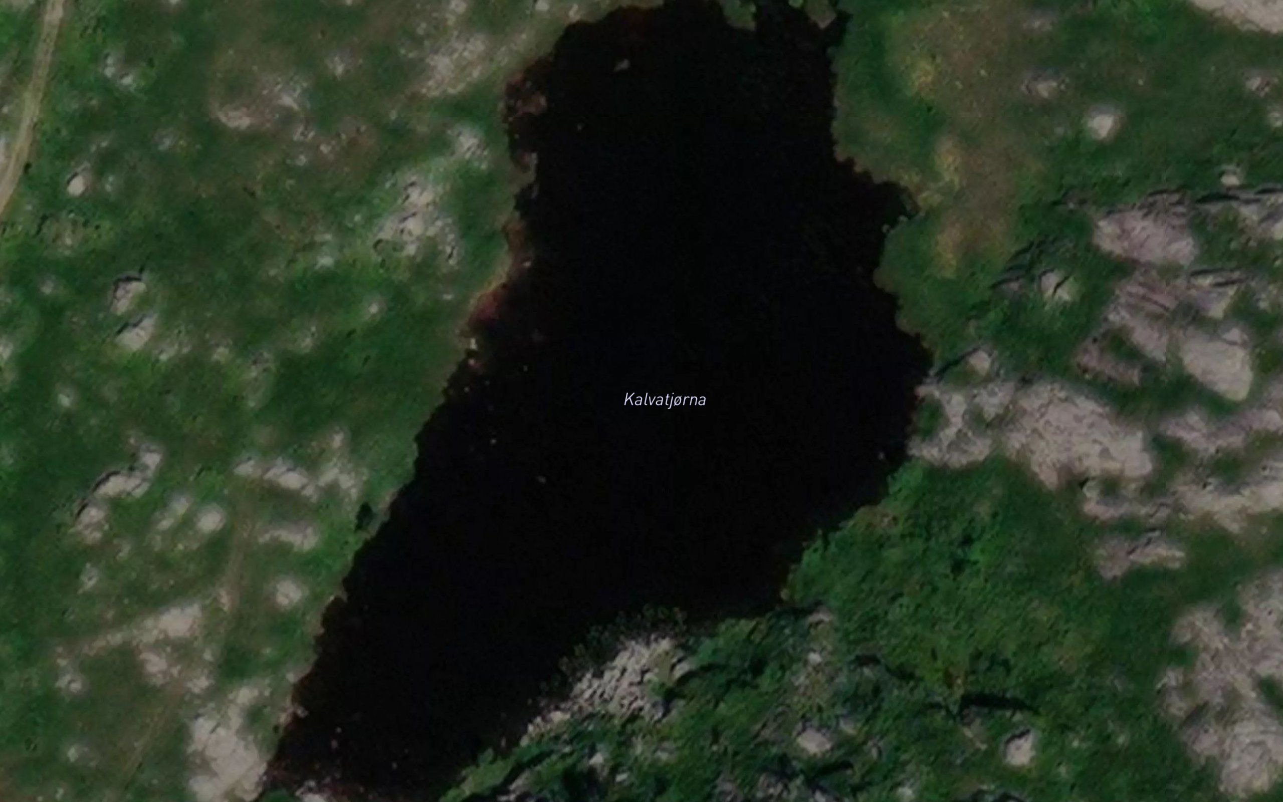 Kalvatjorna