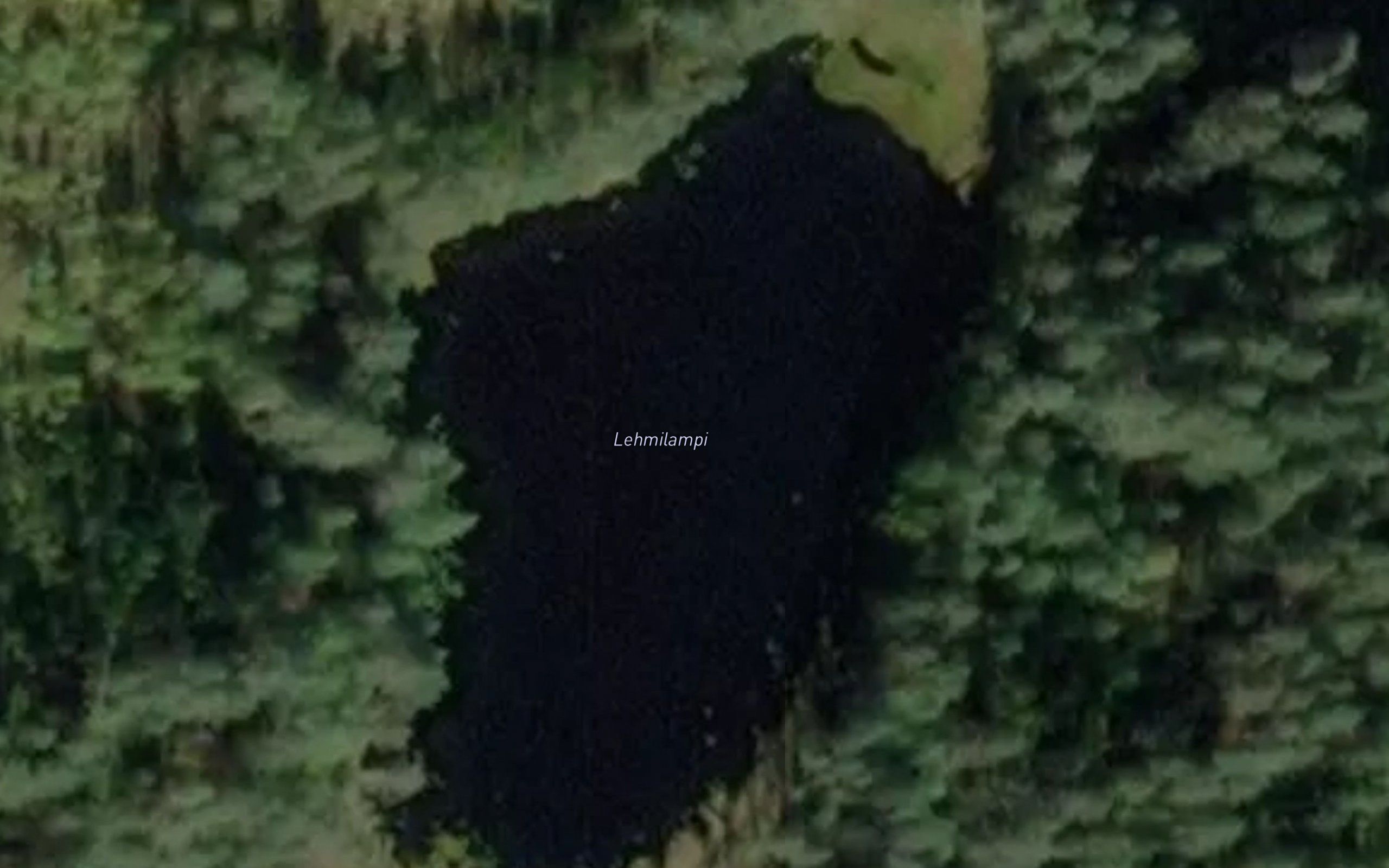 Lehmilampi