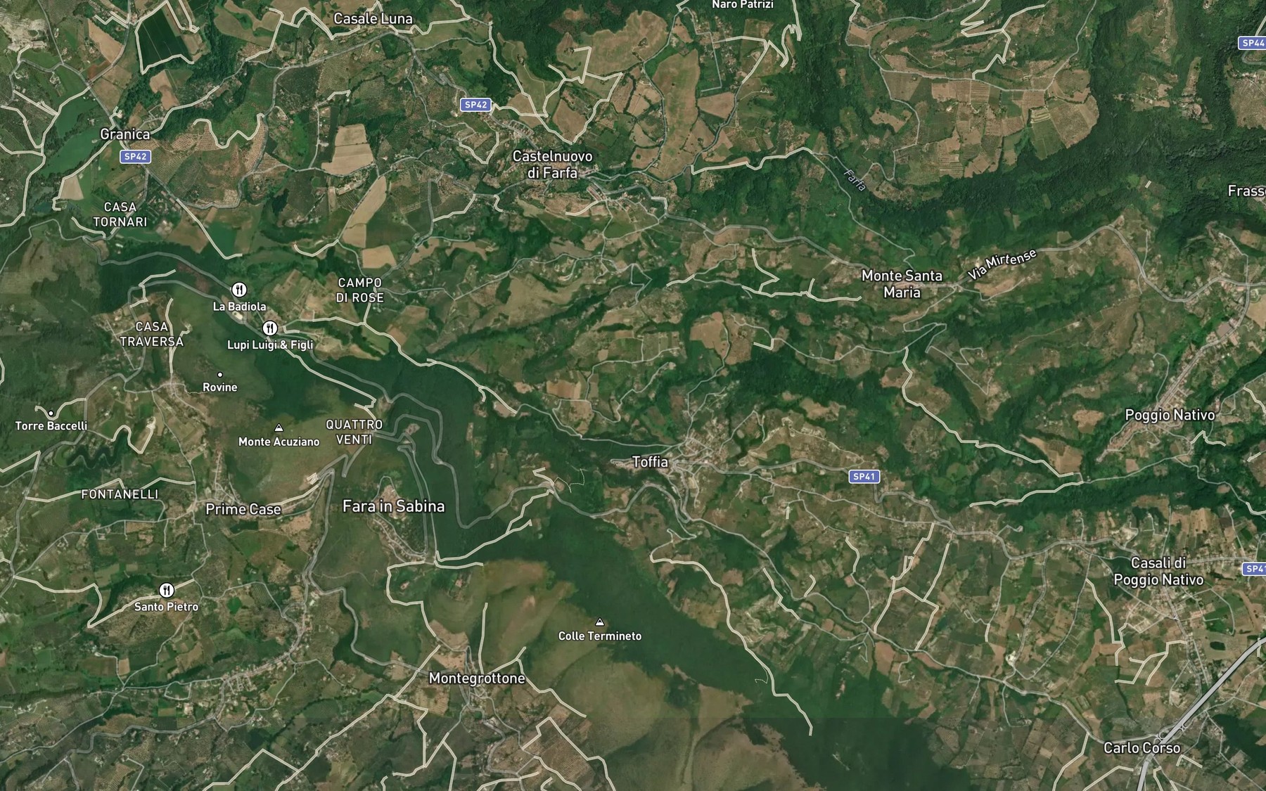 Satellite map of the Fosso Riana