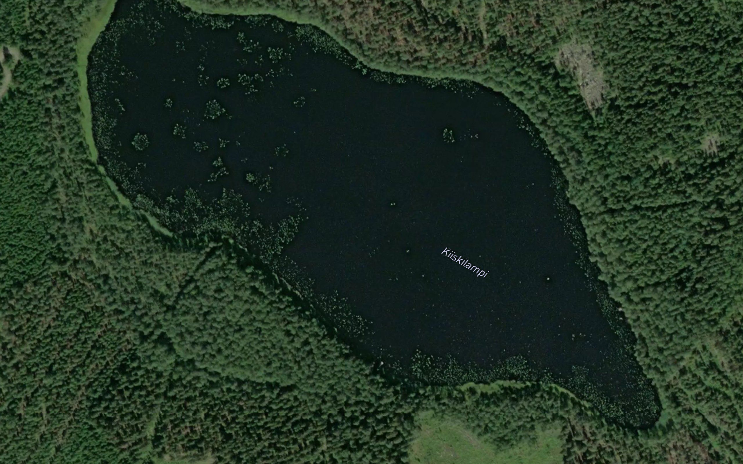 Kiiskilampi