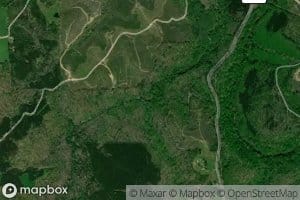 McKelly Spring Branch