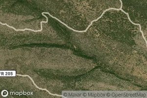 Little Kayser Spring