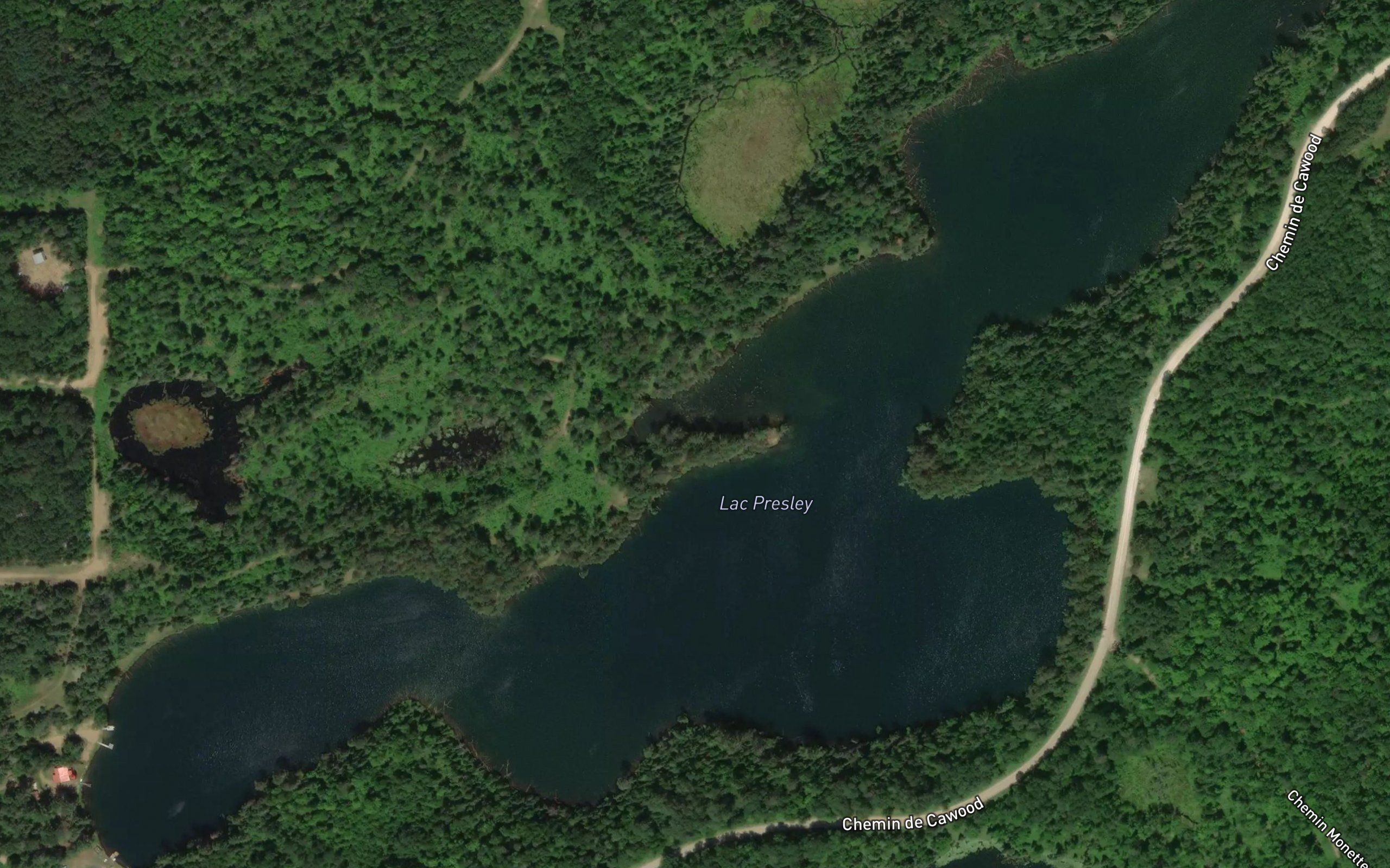 Lac Presley