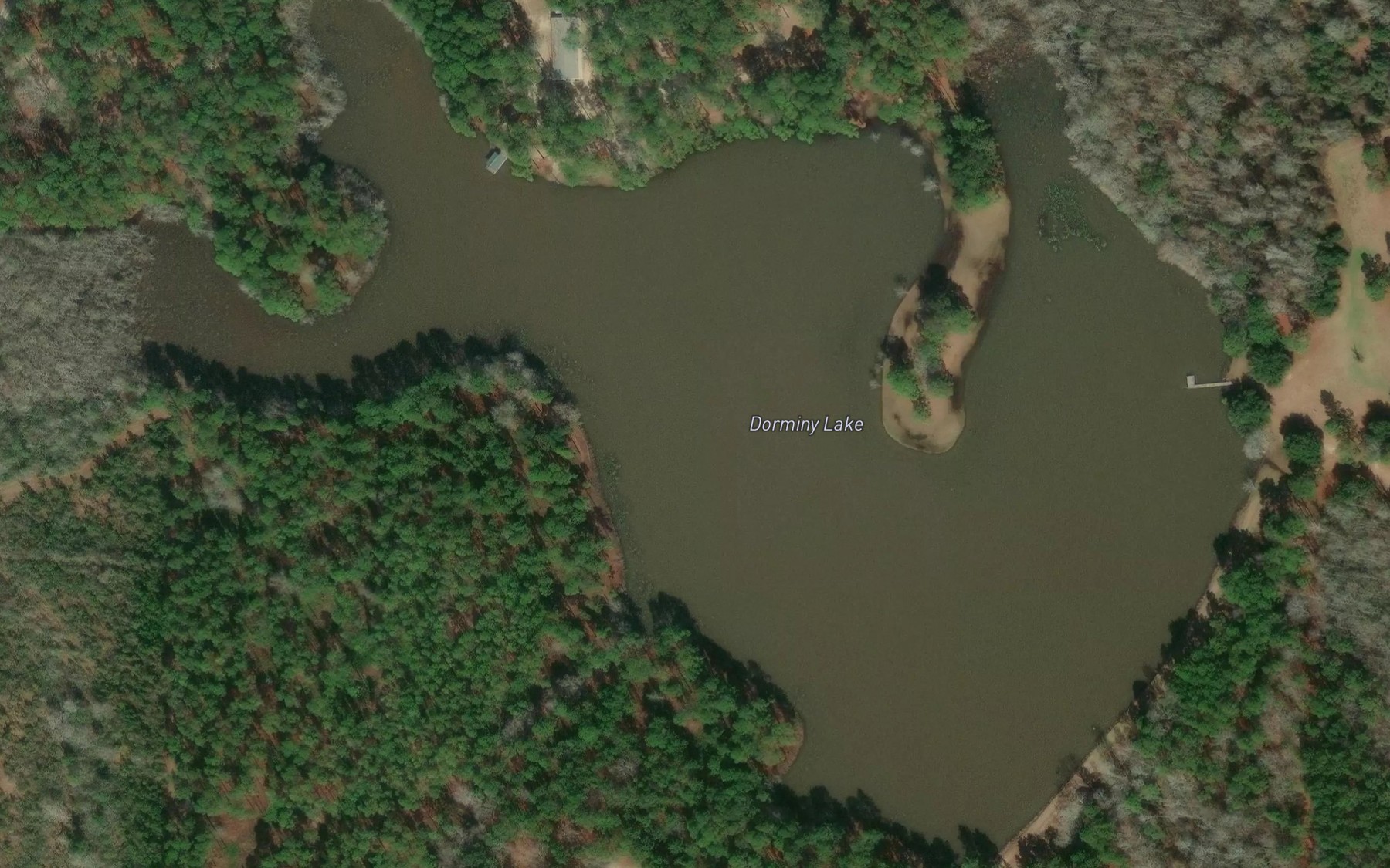 Satellite map of the Dorminy Lake