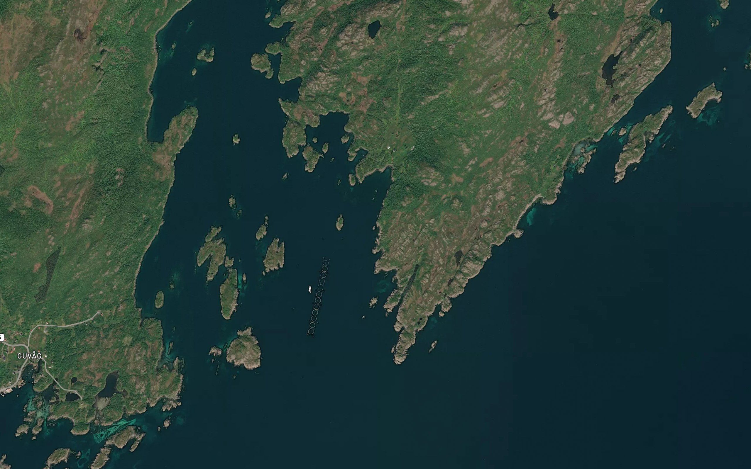 Niphaugvika