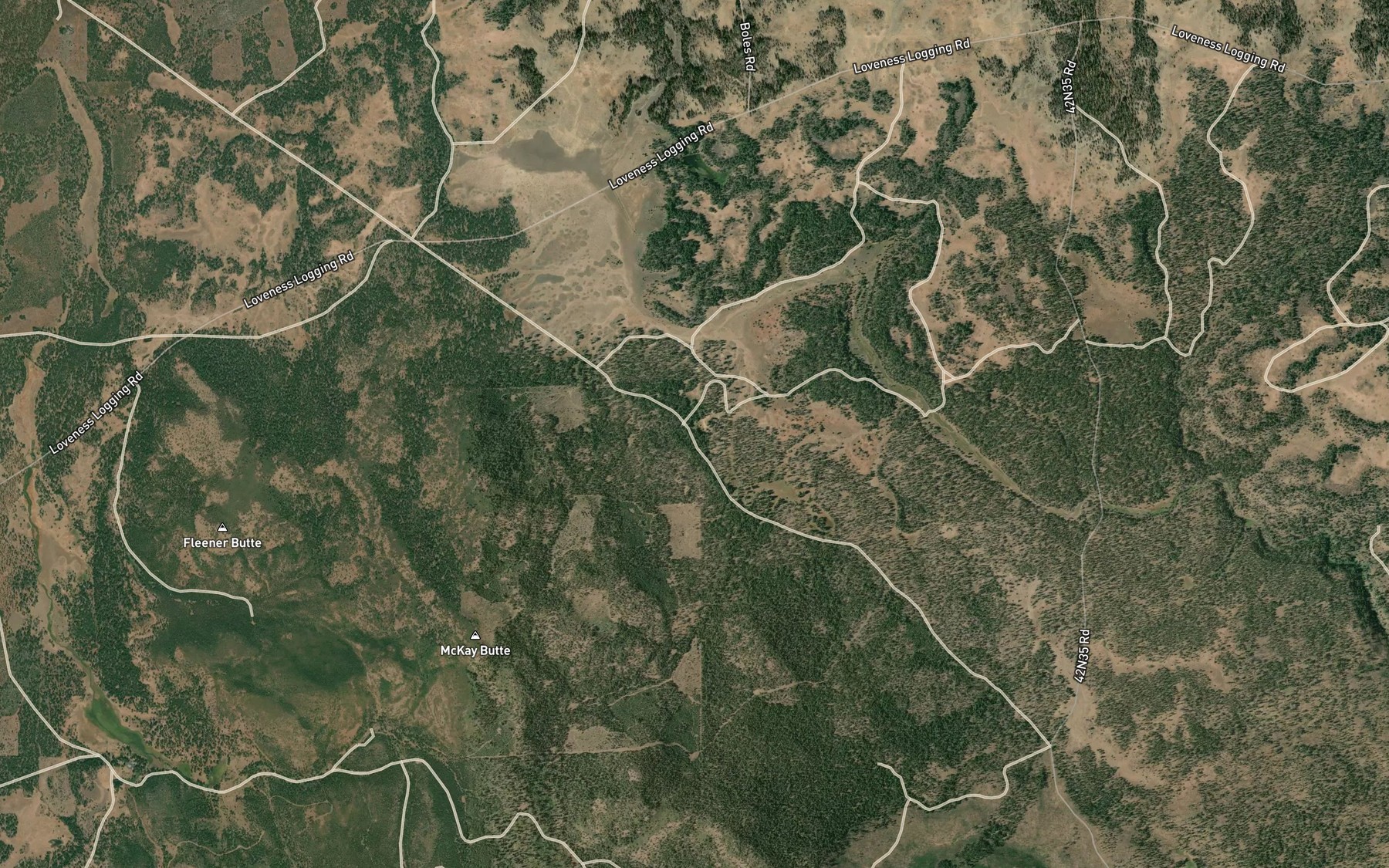 Satellite map of the Craig Spring