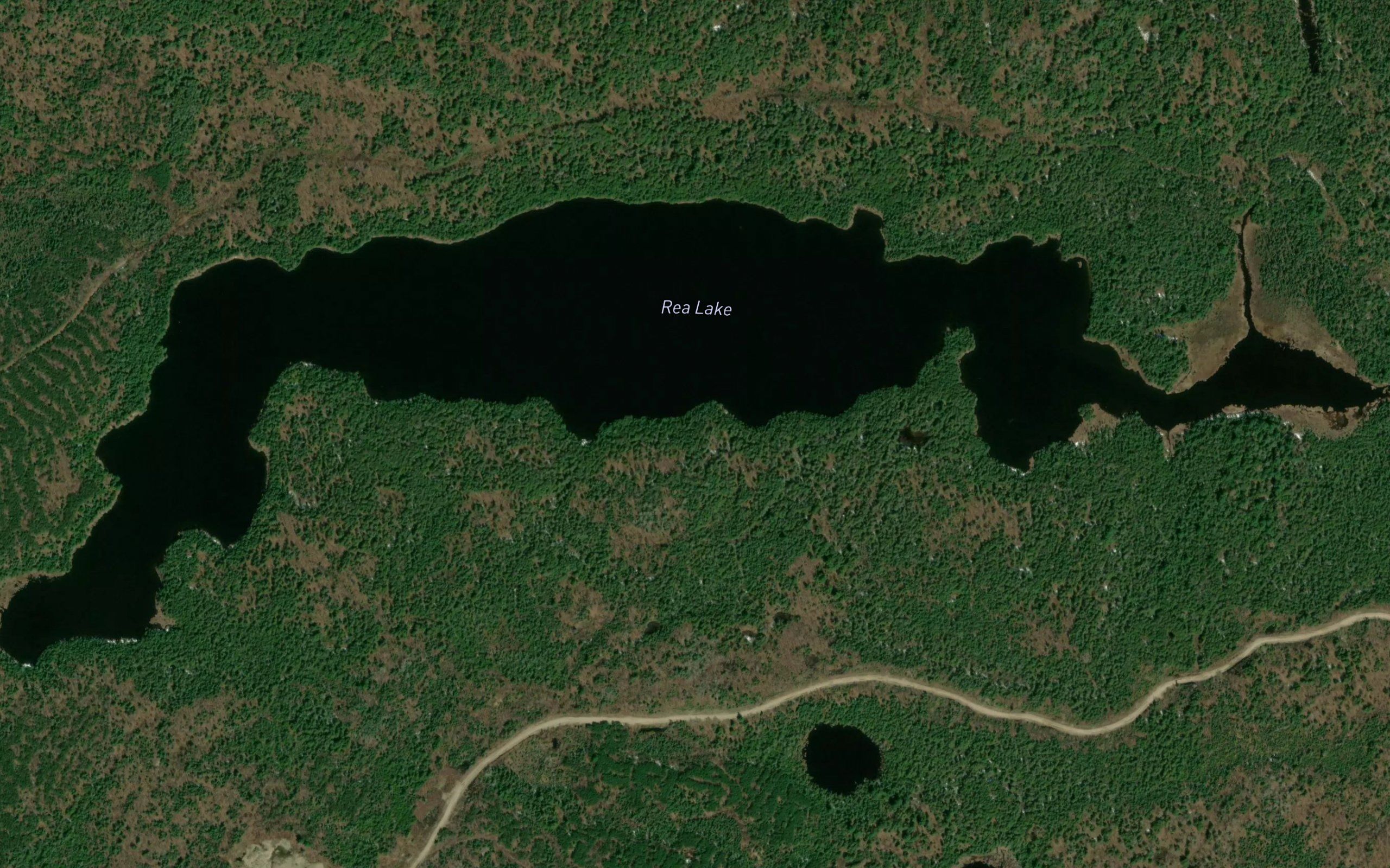 Rea Lake