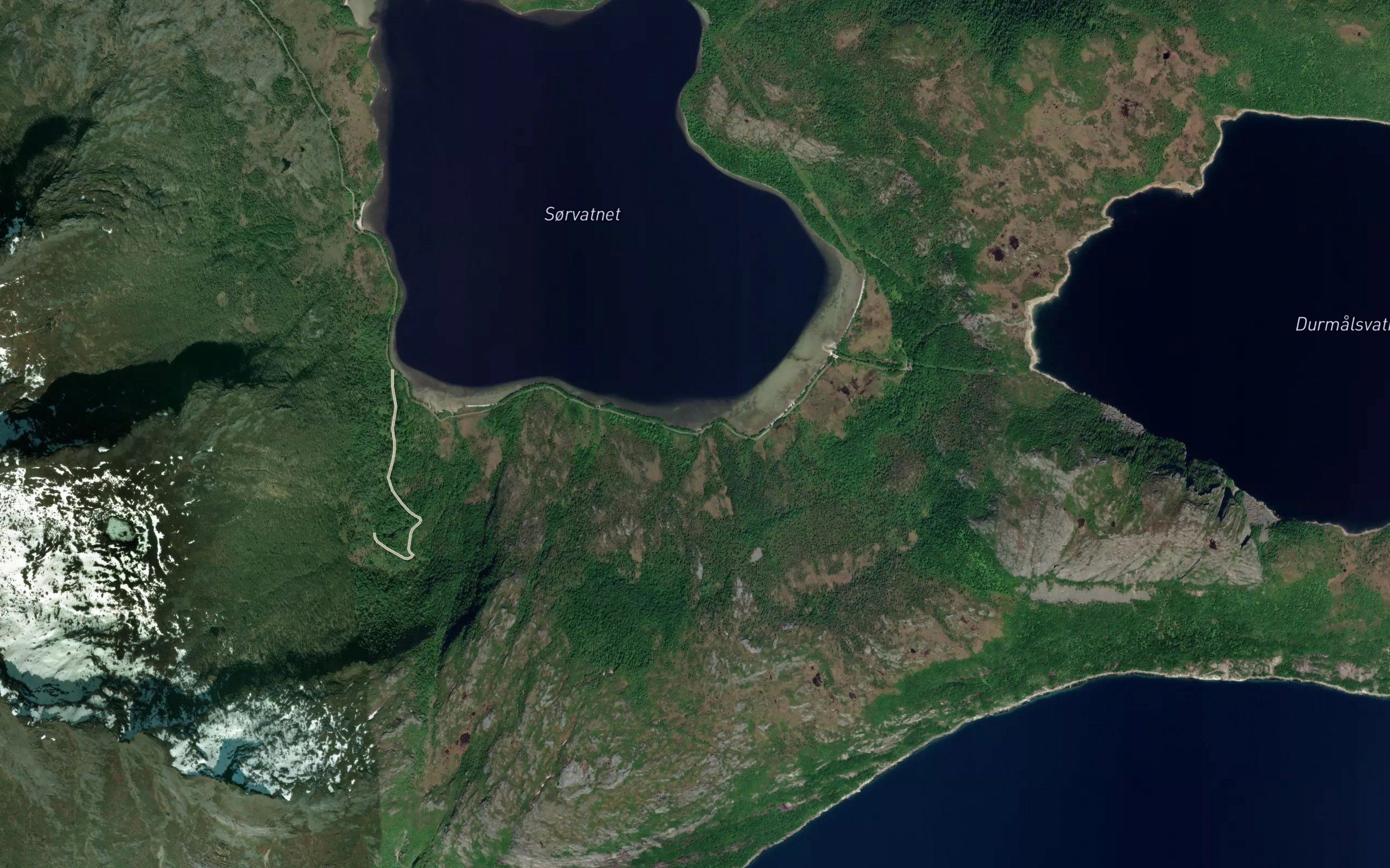 Insdalselva