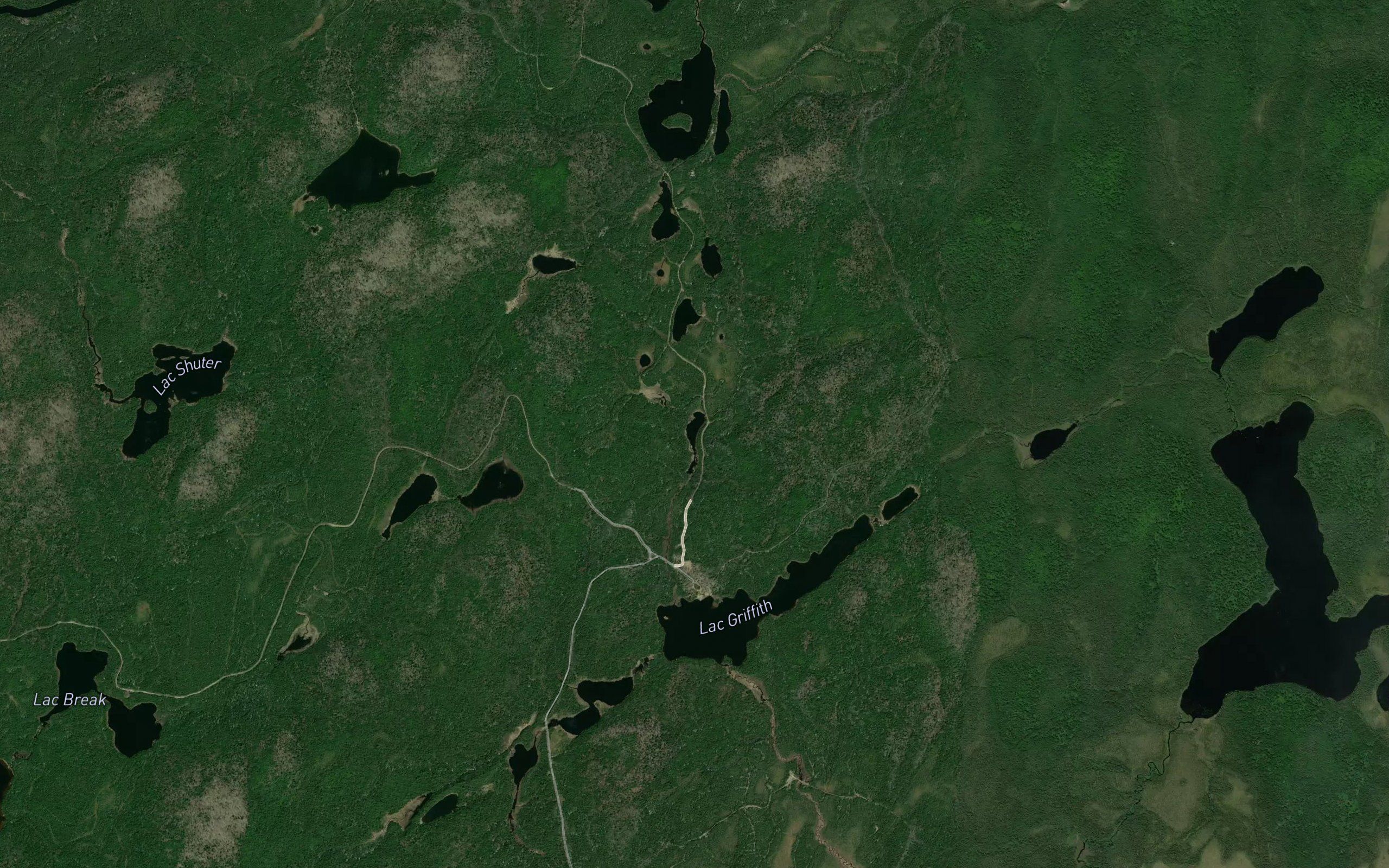 Lac Laube
