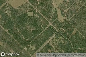 Boggy Creek