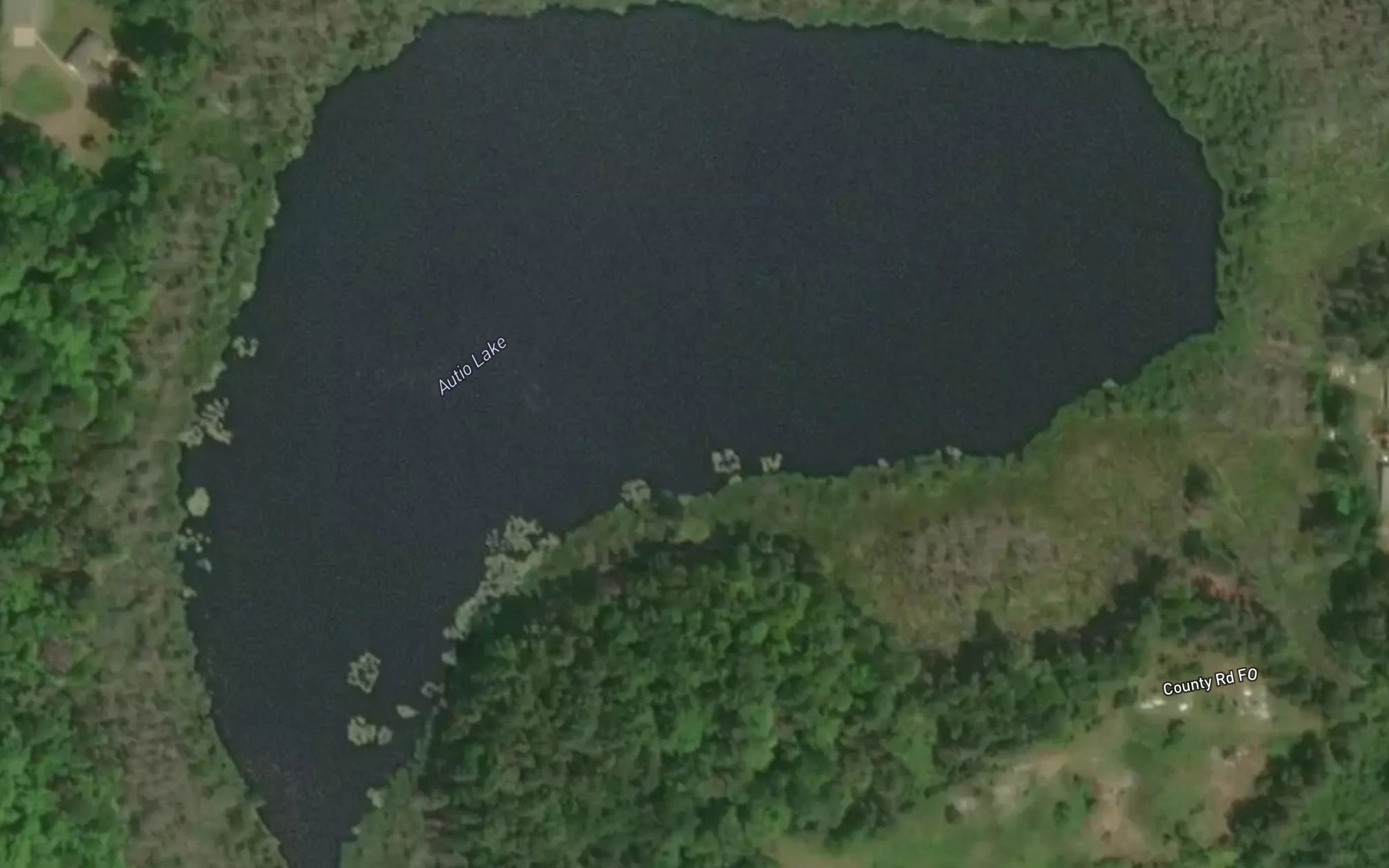 Satellite map of the Autio Lake