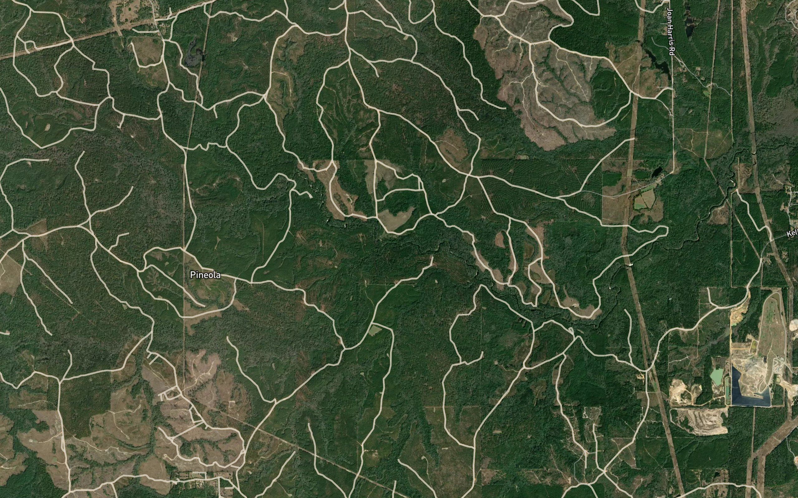 Bush Coon Creek