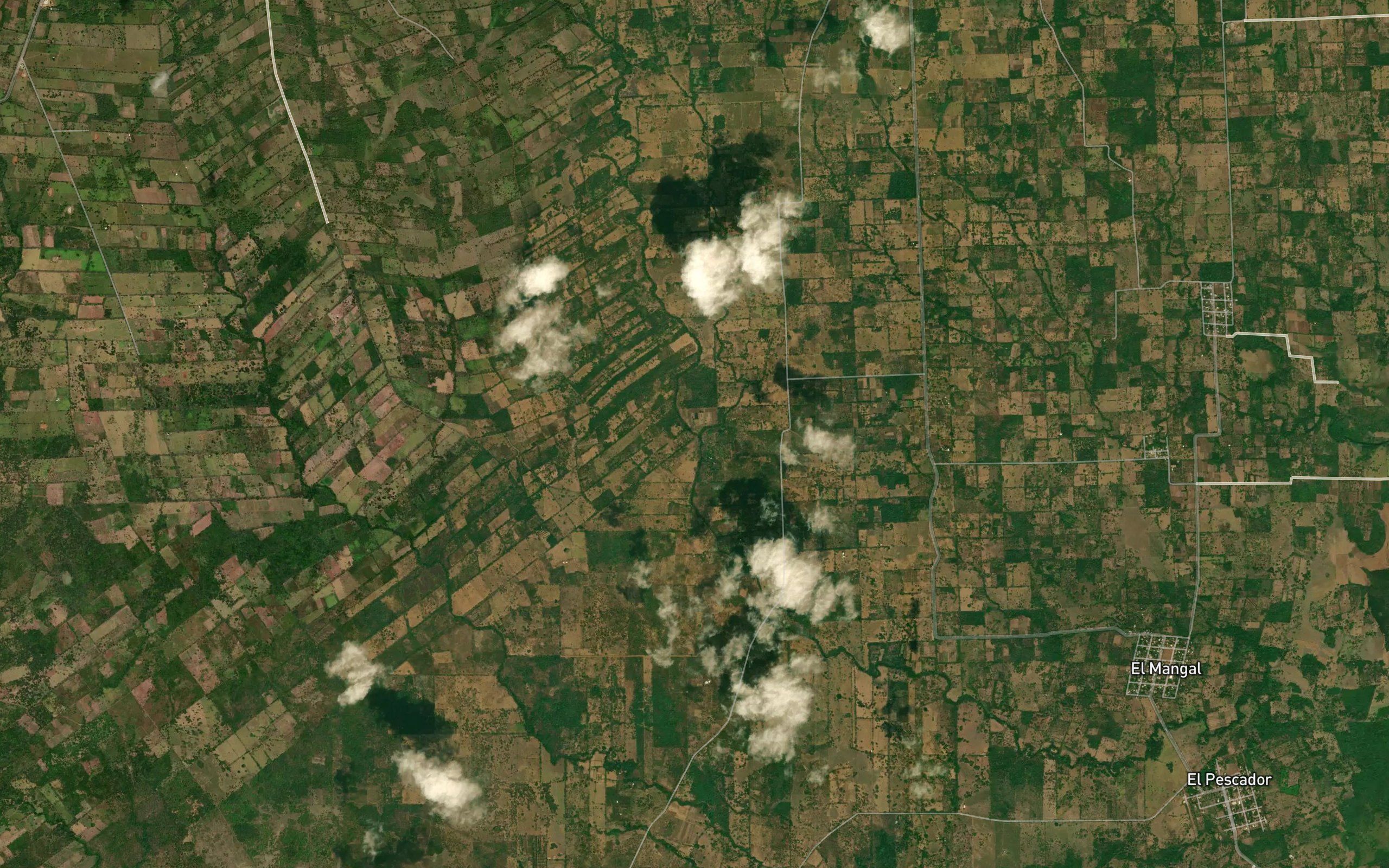 Agachapa