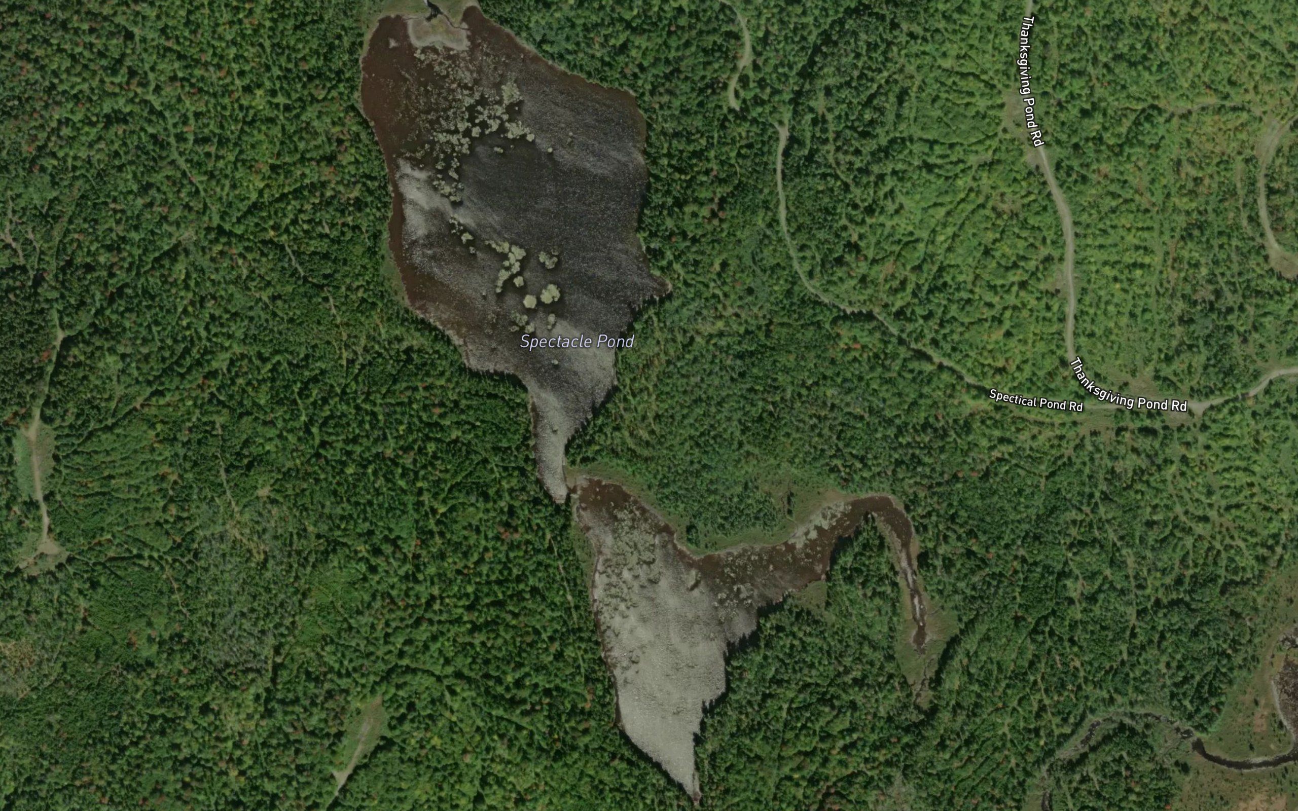 Spectacle Pond