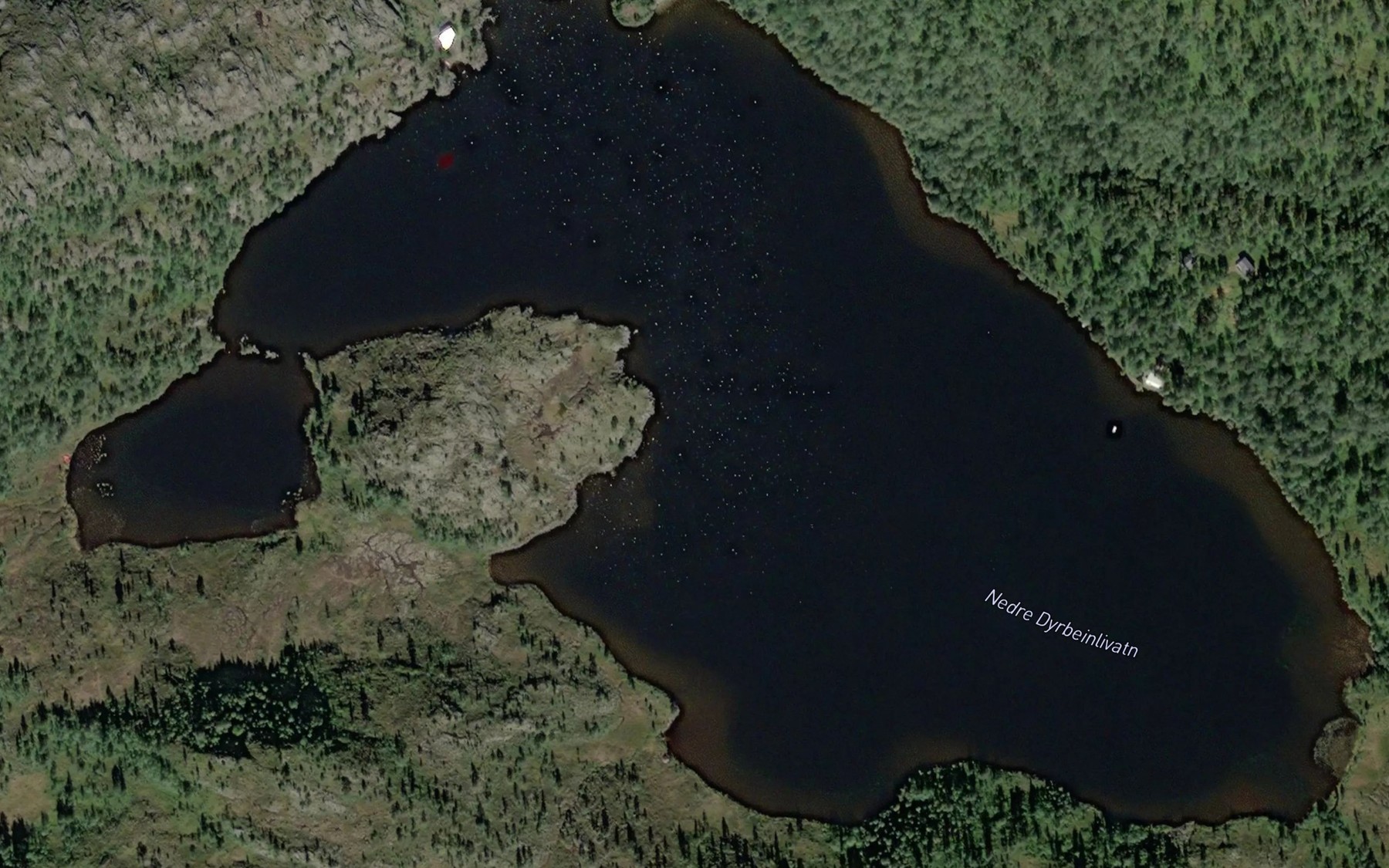 Satellite map of the Nedre Dyrbeinlivatn