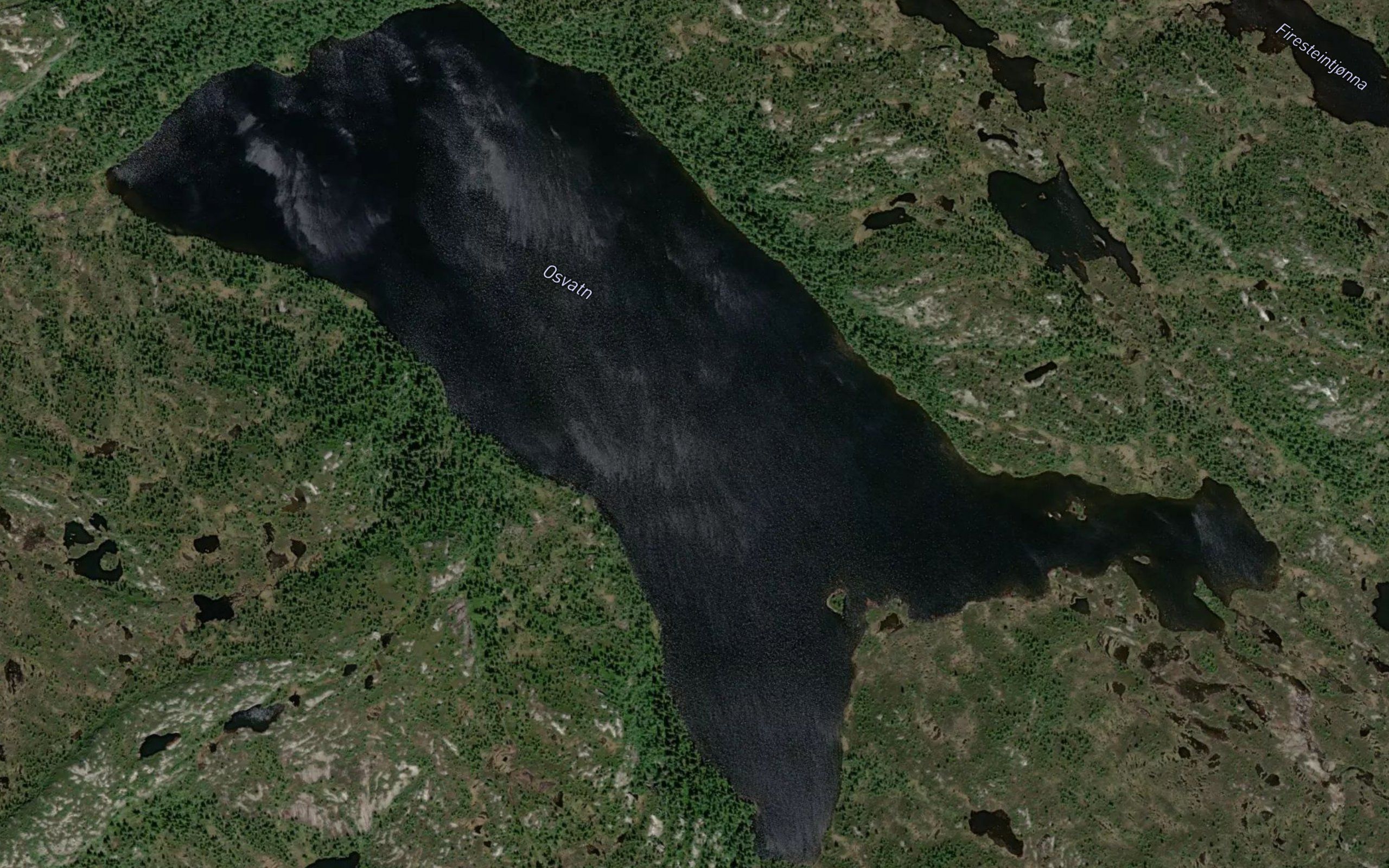 Osvatnet