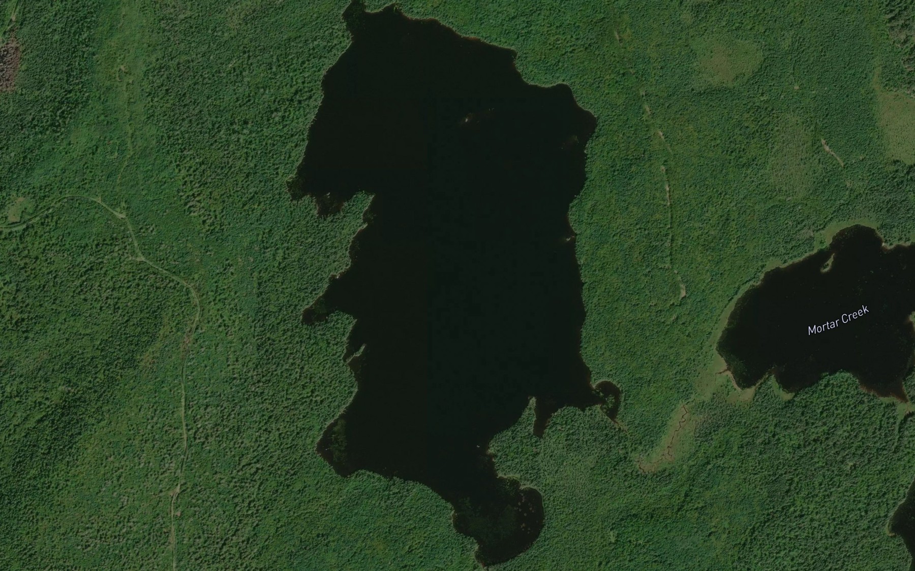 Satellite map of the Mortar Lake