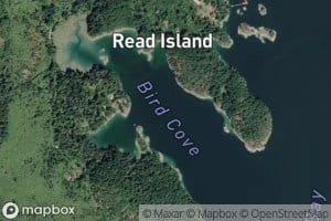Bird Cove